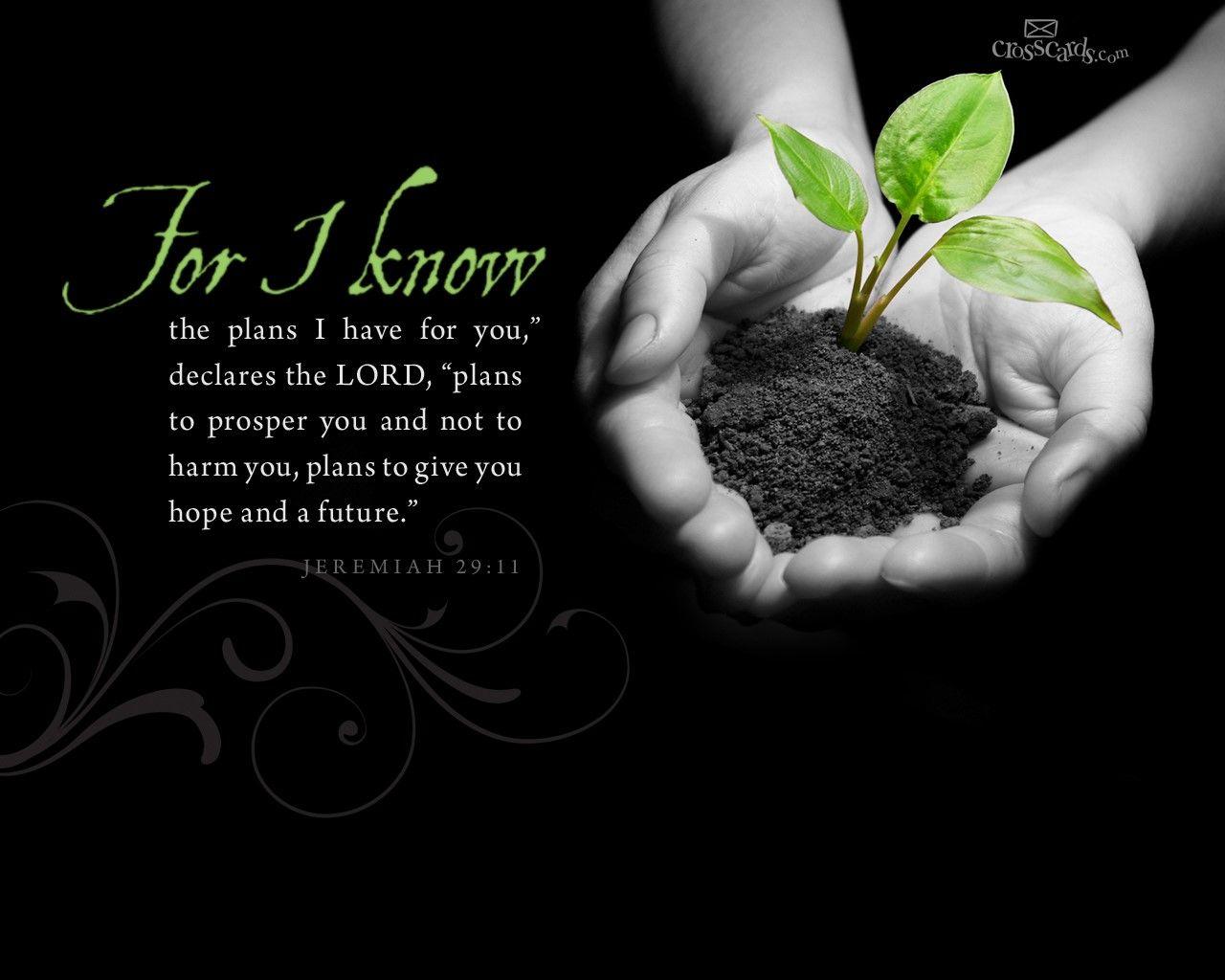 I Know the Plans Verses and Scripture Wallpaper for Phone or