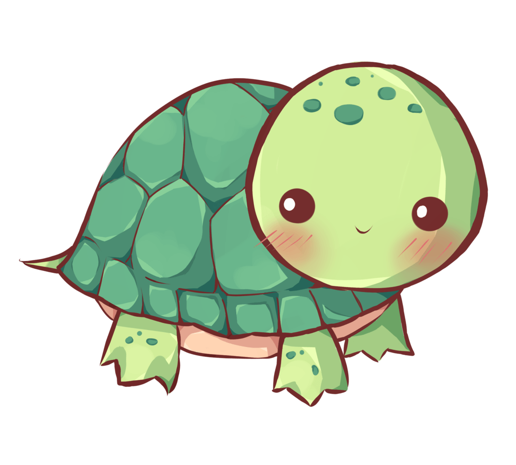 Drawn turtle kawaii and in color drawn turtle kawaii