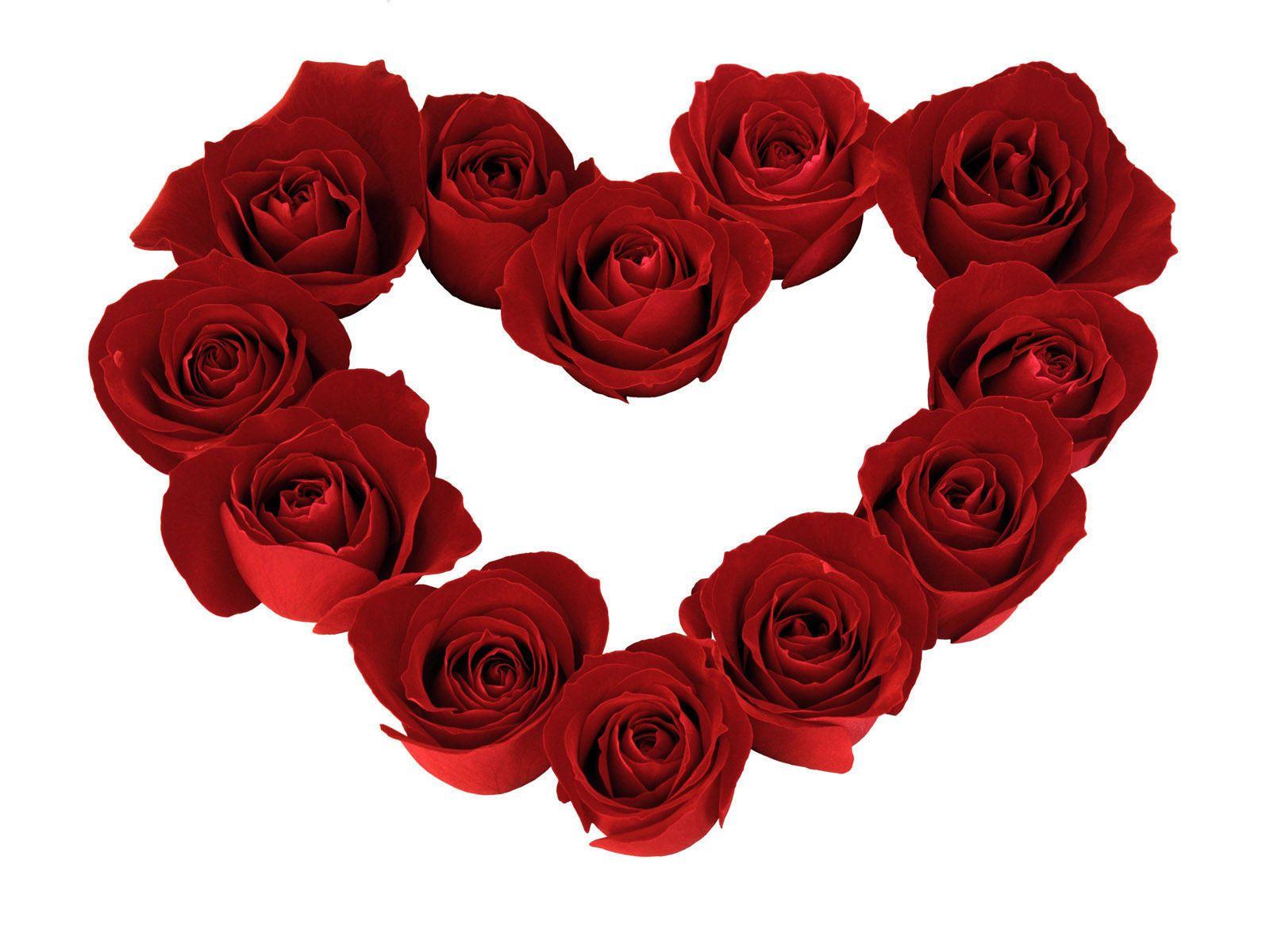 Roses Heart Shape, High Definition, High Quality, Widescreen