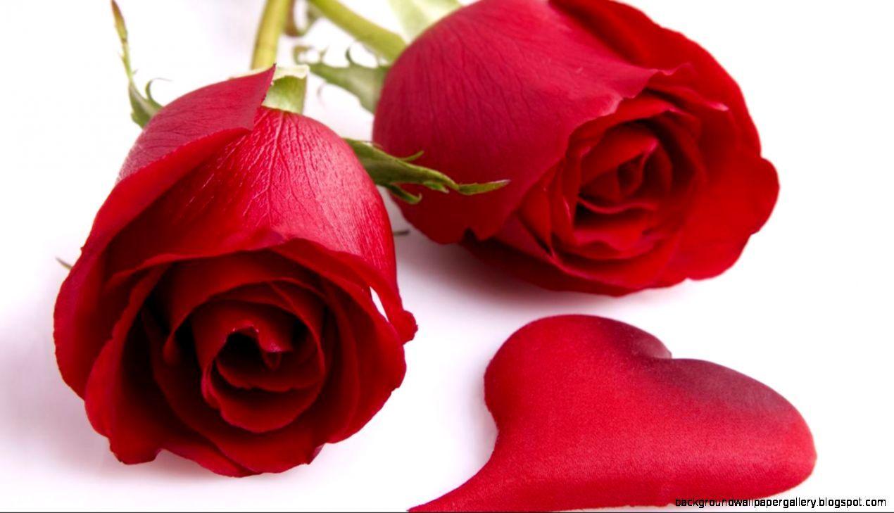 Roses Heart Valentines Day Wallpaper. Background Wallpaper Gallery