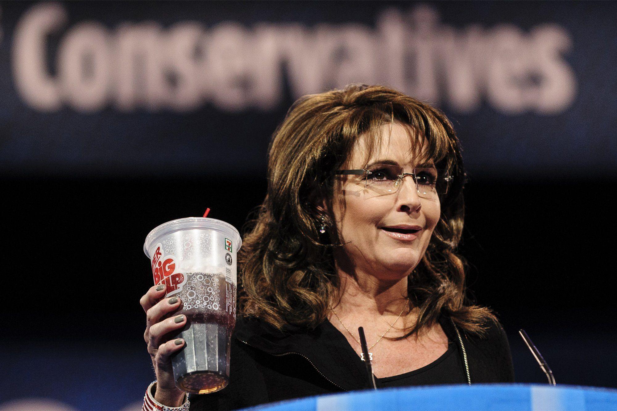 Sarah Palin Wallpaper Image Photo Picture Background