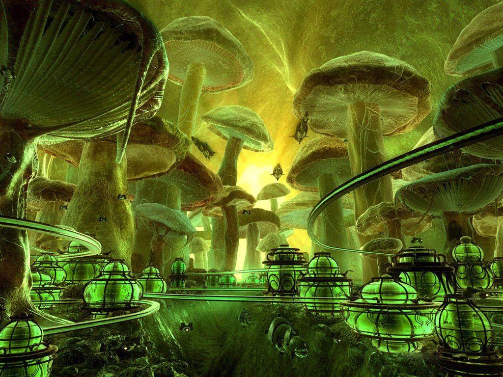 Trippy Mushroom Wallpaper HD