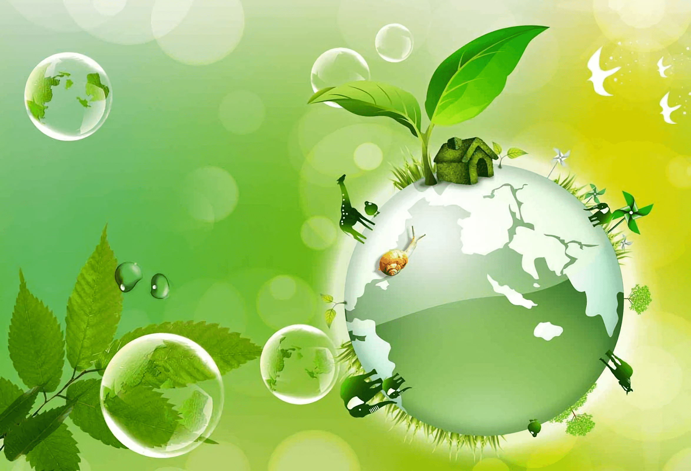 Earth Day Full HD Wallpaper and Background Imagex1600