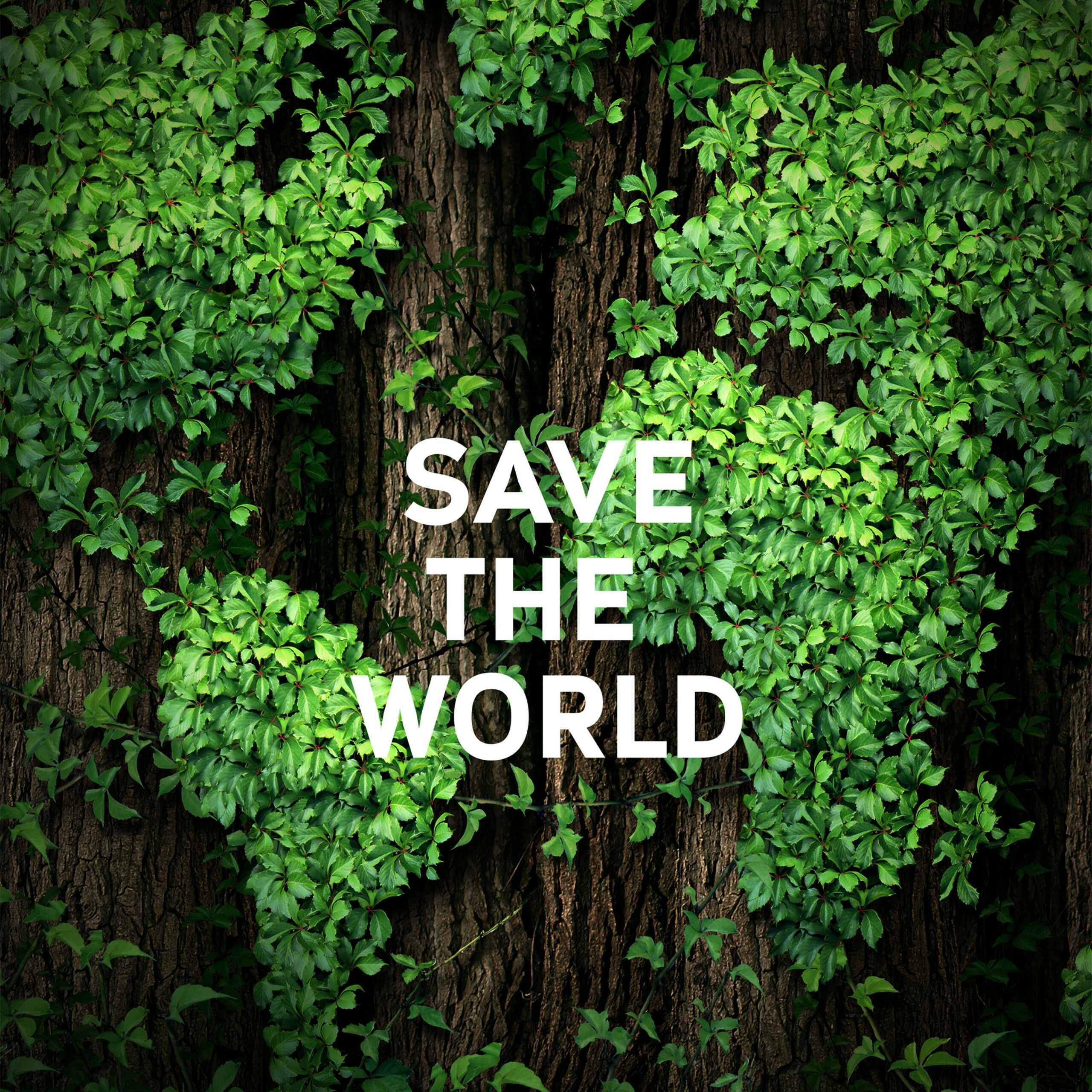 Save The World Earth Day April 22 Events QHD Wallpaper 2560x2560