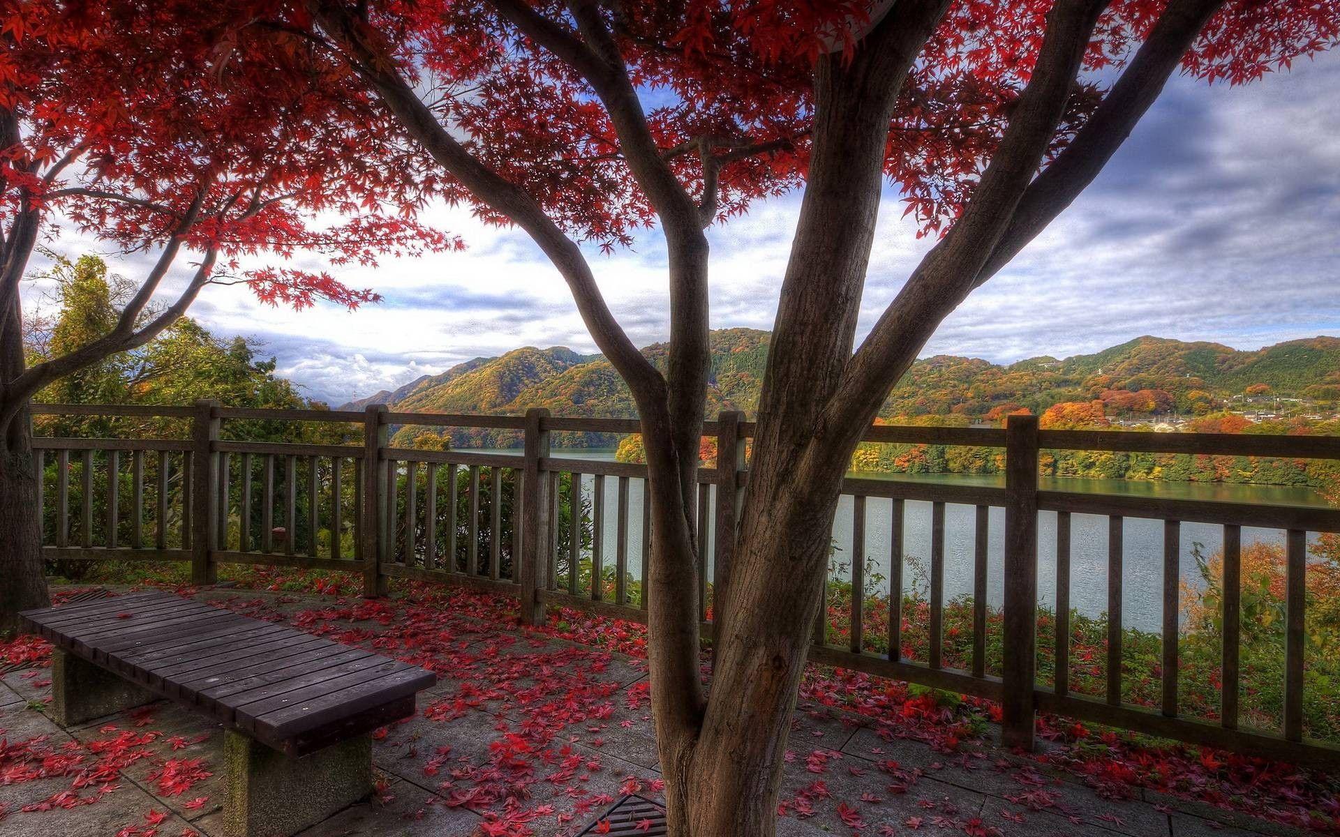 Rivers: Peaceful Rest Stop Cool River Fun Nature Mountain Background