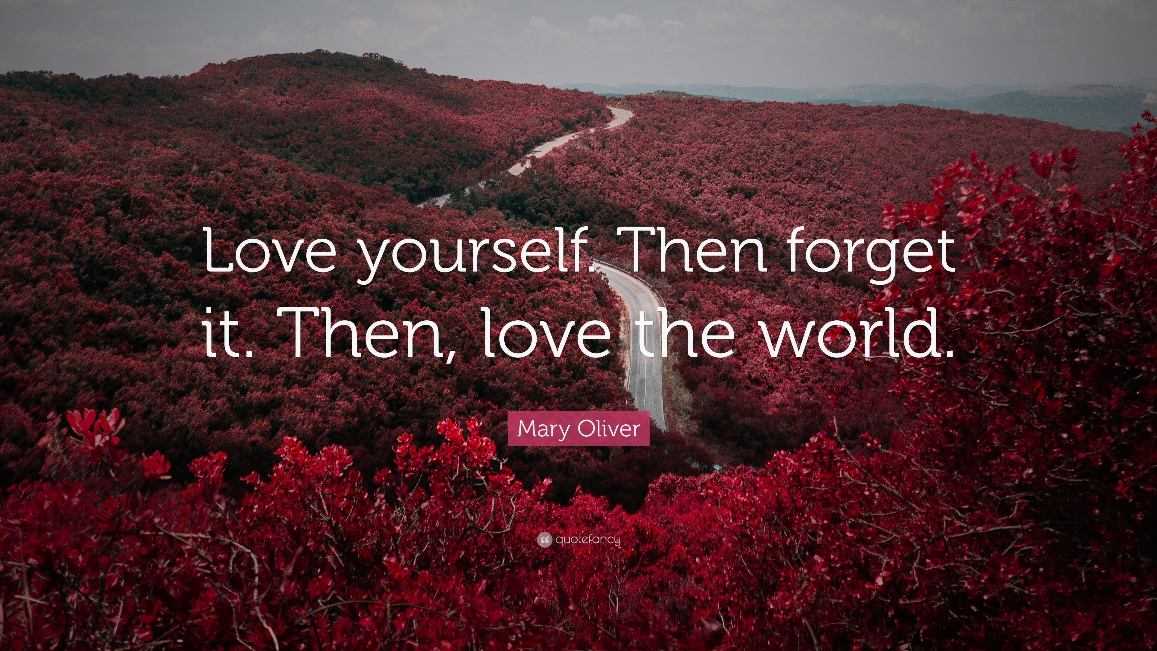 Mary Oliver Quote: “Love yourself. Then forget it. Then, love