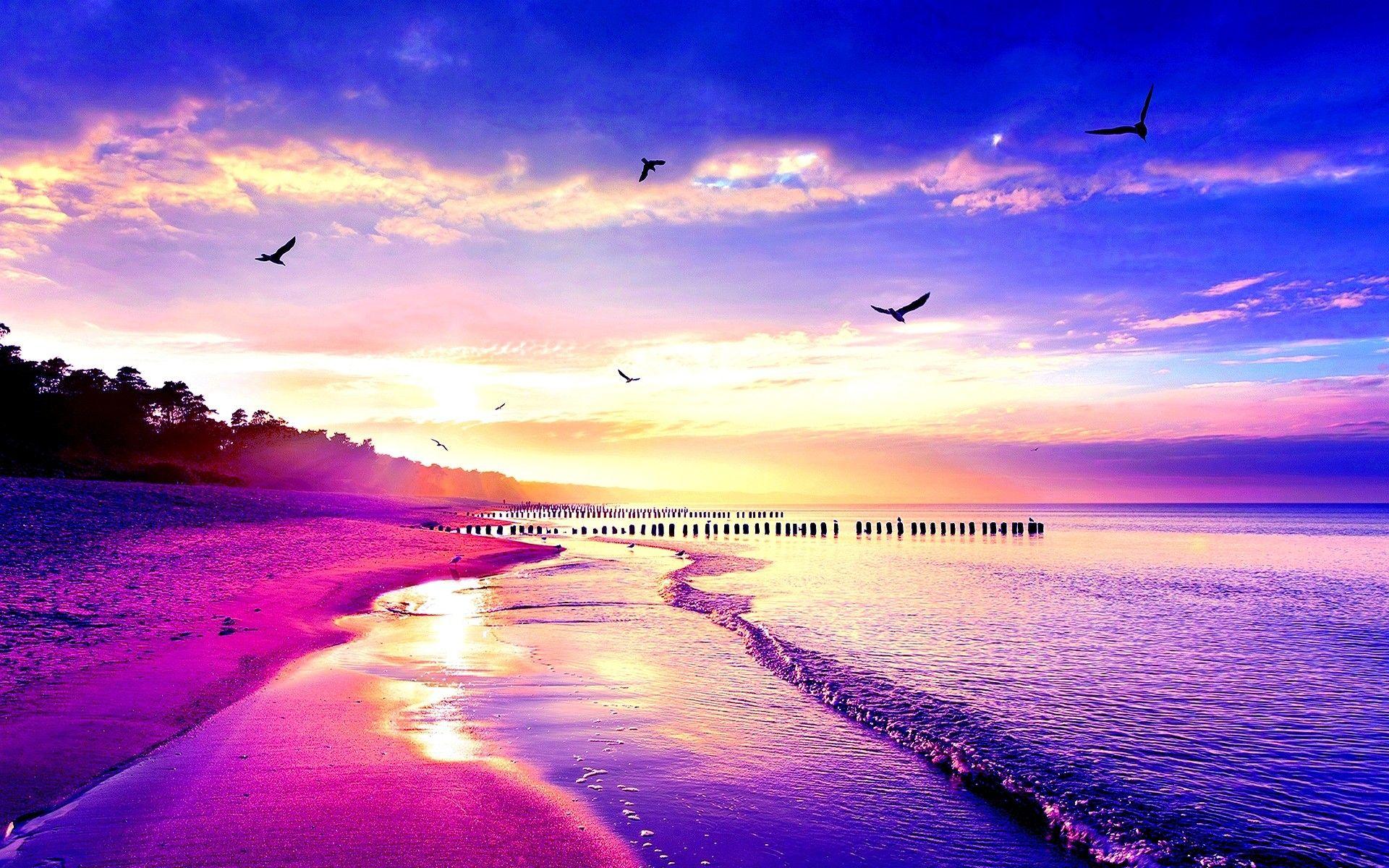 Beach Birds Nature Cool Sky Sunset Wallpaper For Android Beach HD
