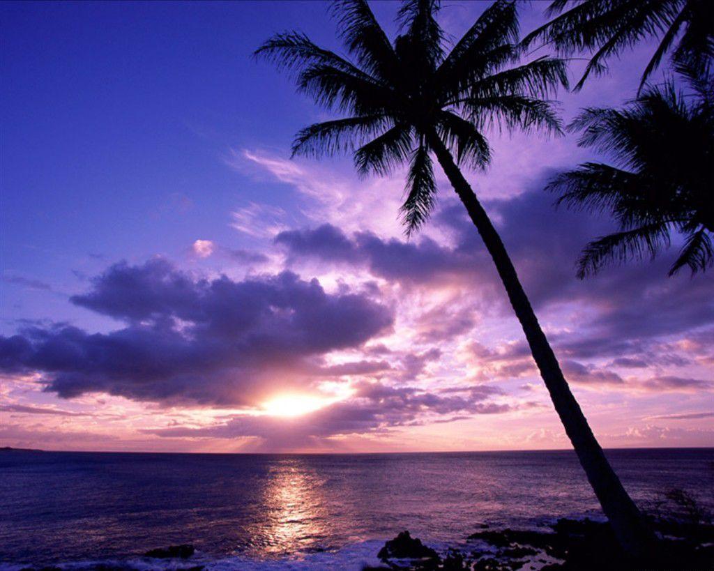 Cool HD Nature Desktop Wallpaper: Tropical Sunset Wallpaper
