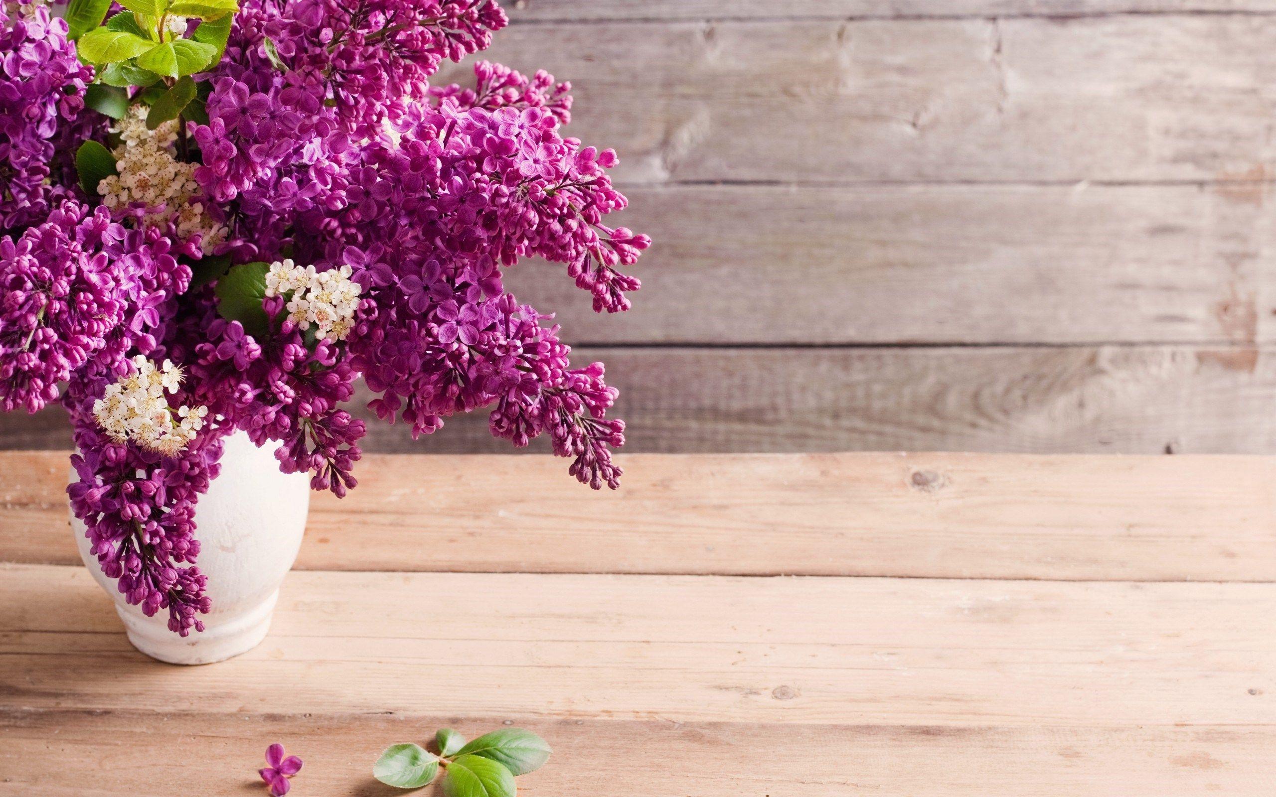 Lilac Flower Bouquet Wallpaper (2560×1600). Inspiration