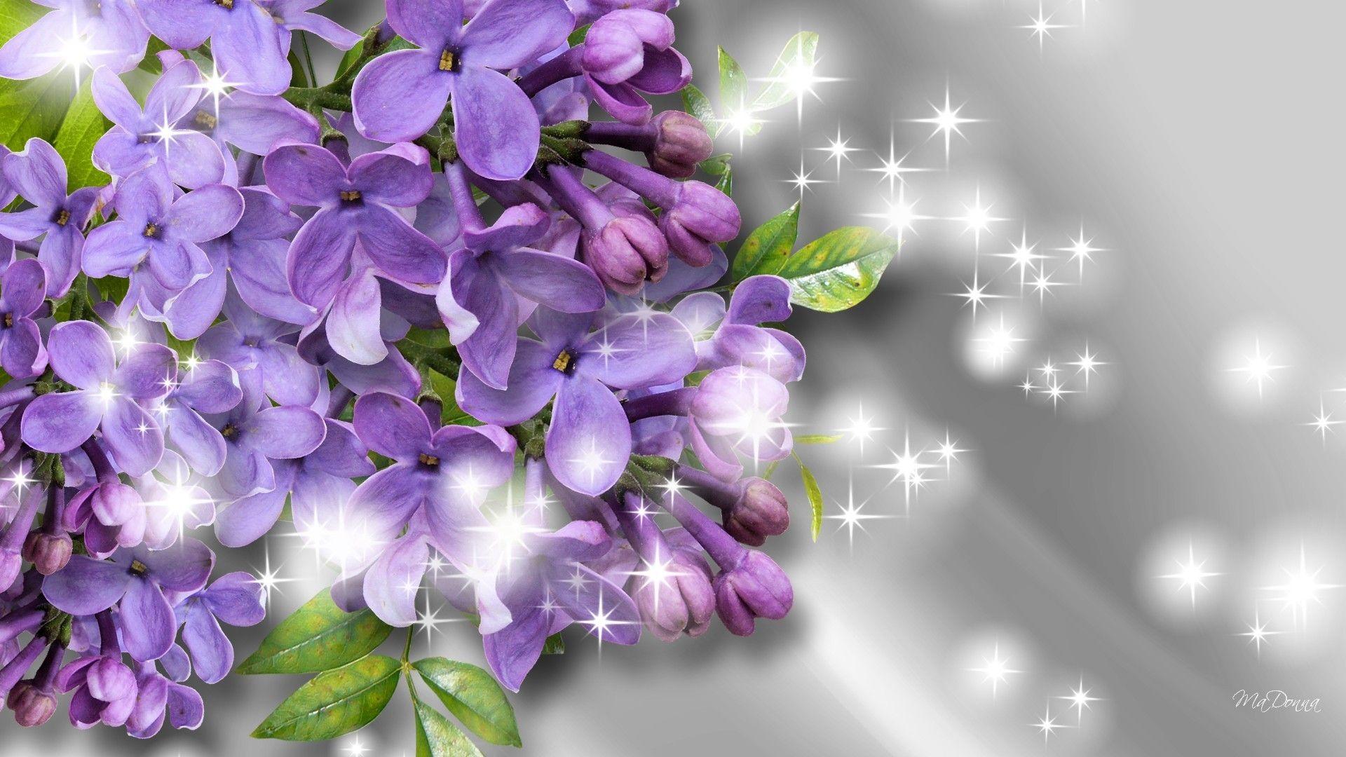 Fragrance of the lilacs wallpaper. PC