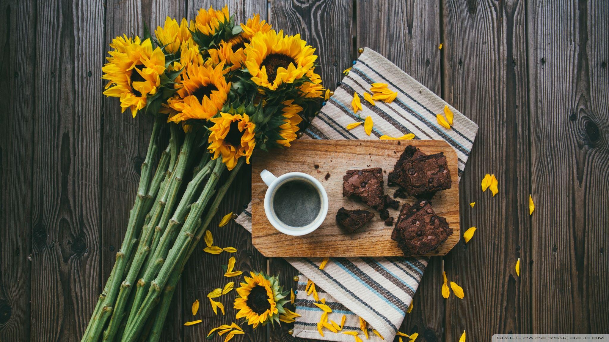 Brownies Wallpapers - Wallpaper Cave