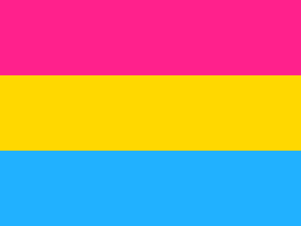Pansexual LGBT Pride Flag