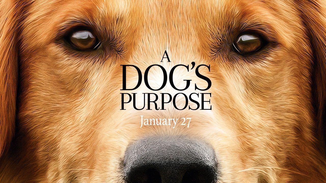 A Dog's Purpose (HD)