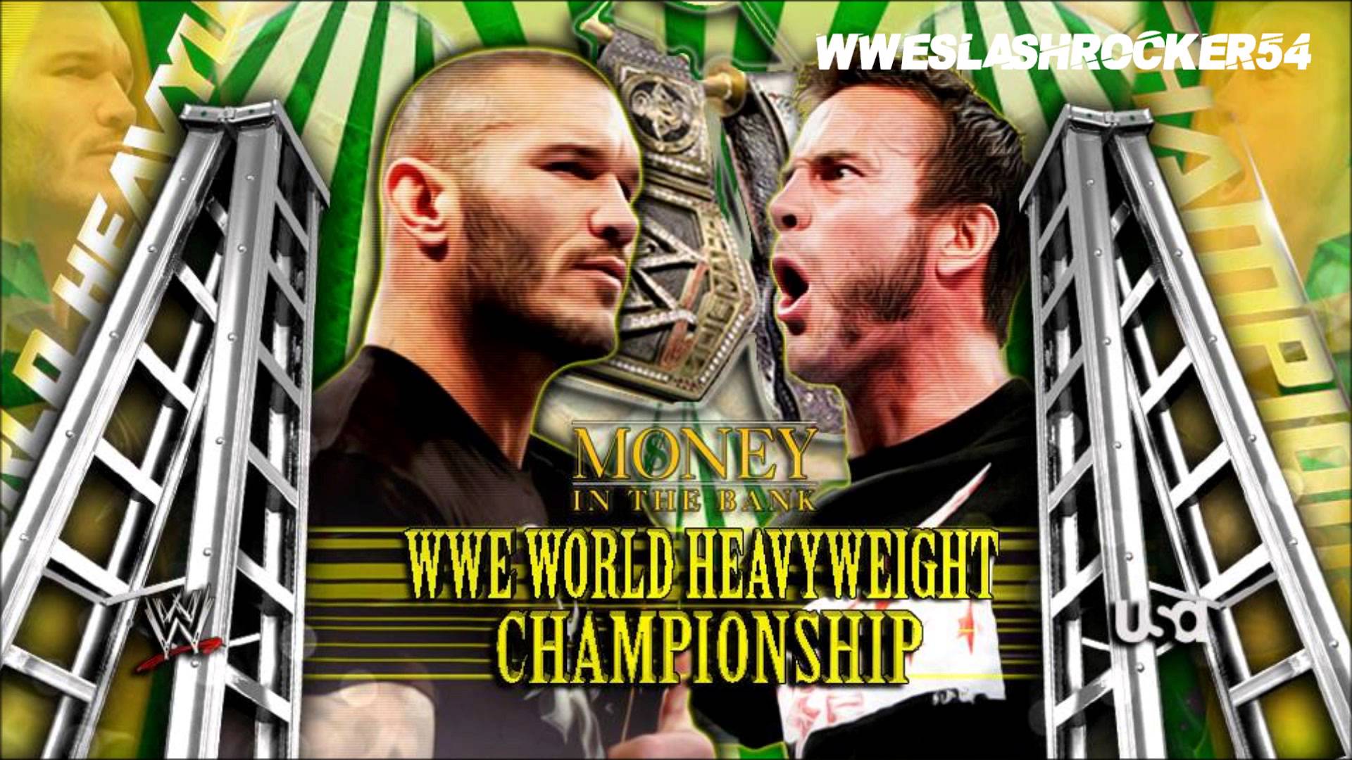 WWE Money in the Bank 2014- Randy Orton vs CM Punk For the WWE World