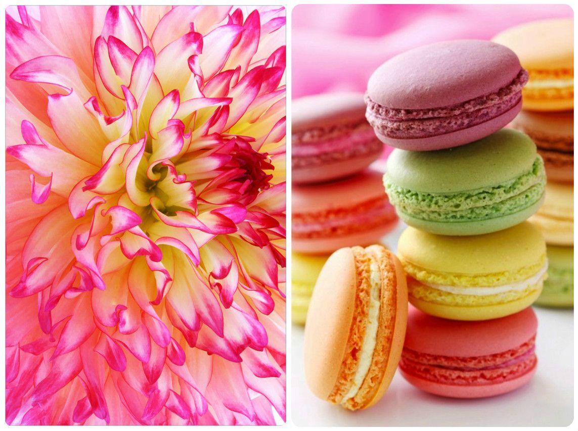 Colorful Macaroons Wallpaper