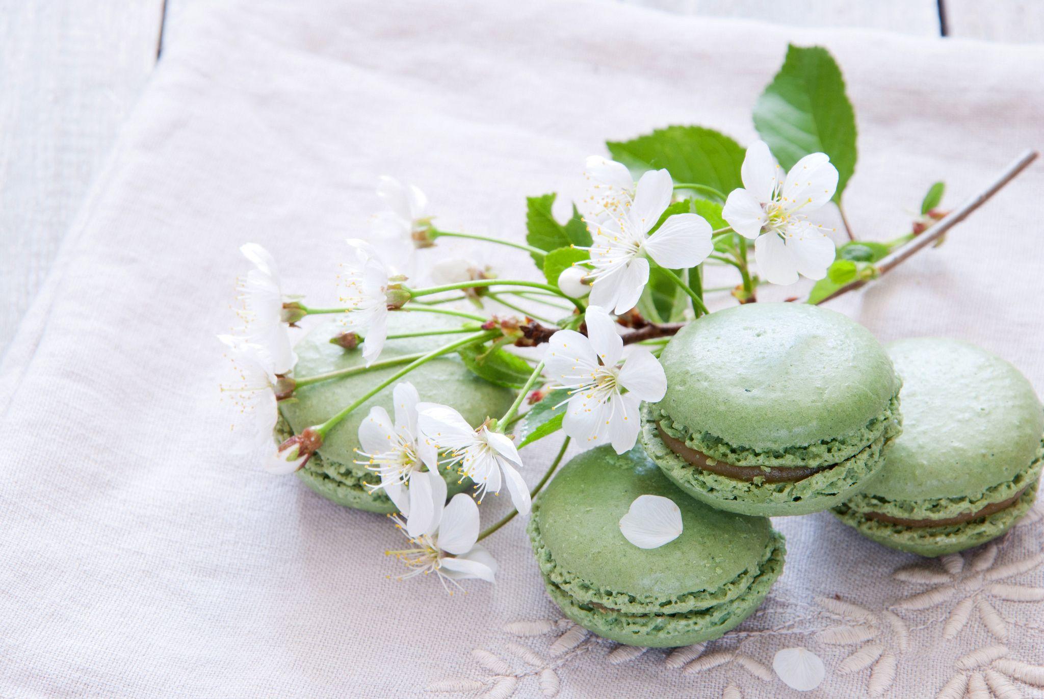 Macaron HD Wallpaper and Background Image