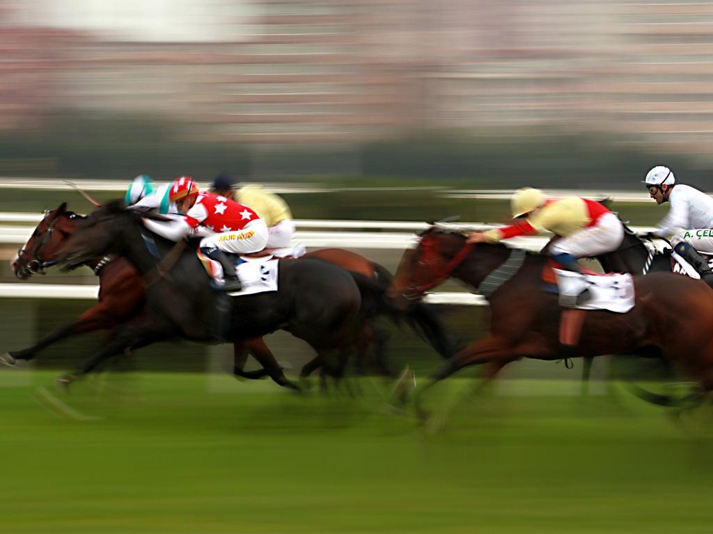 Preakness Stakes Preview: Justify Aims For Triple Crown