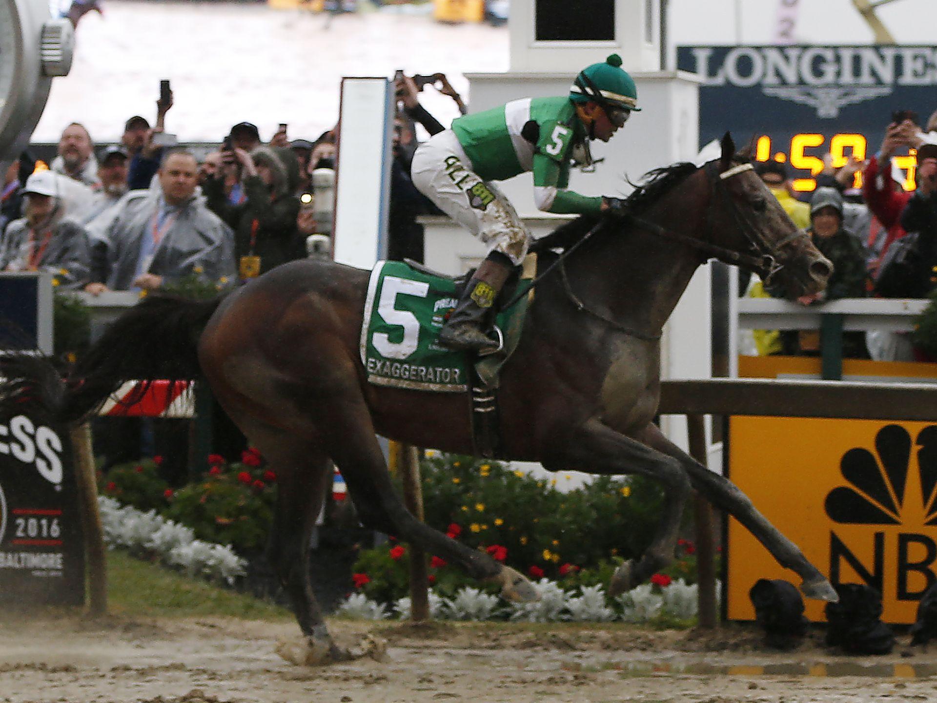 This week at the Preakness