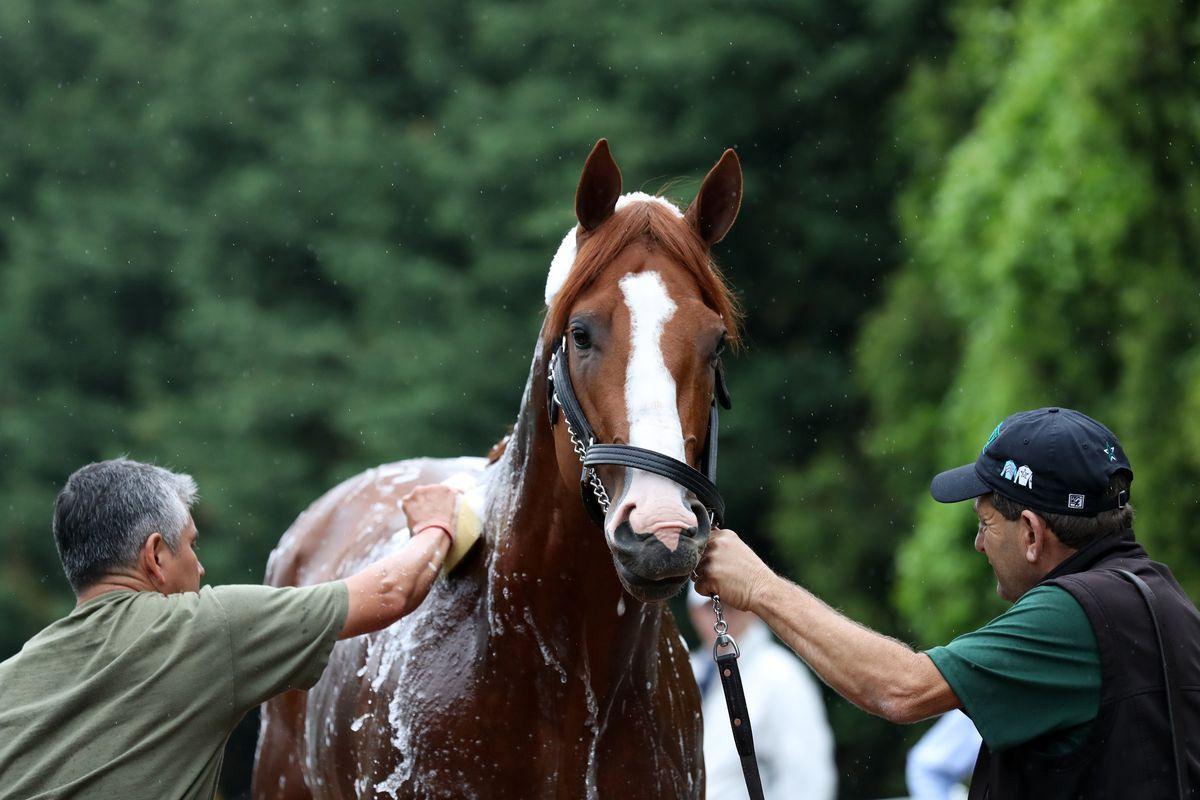 Justify the clear midweek betting favorite for Preakness Stakes