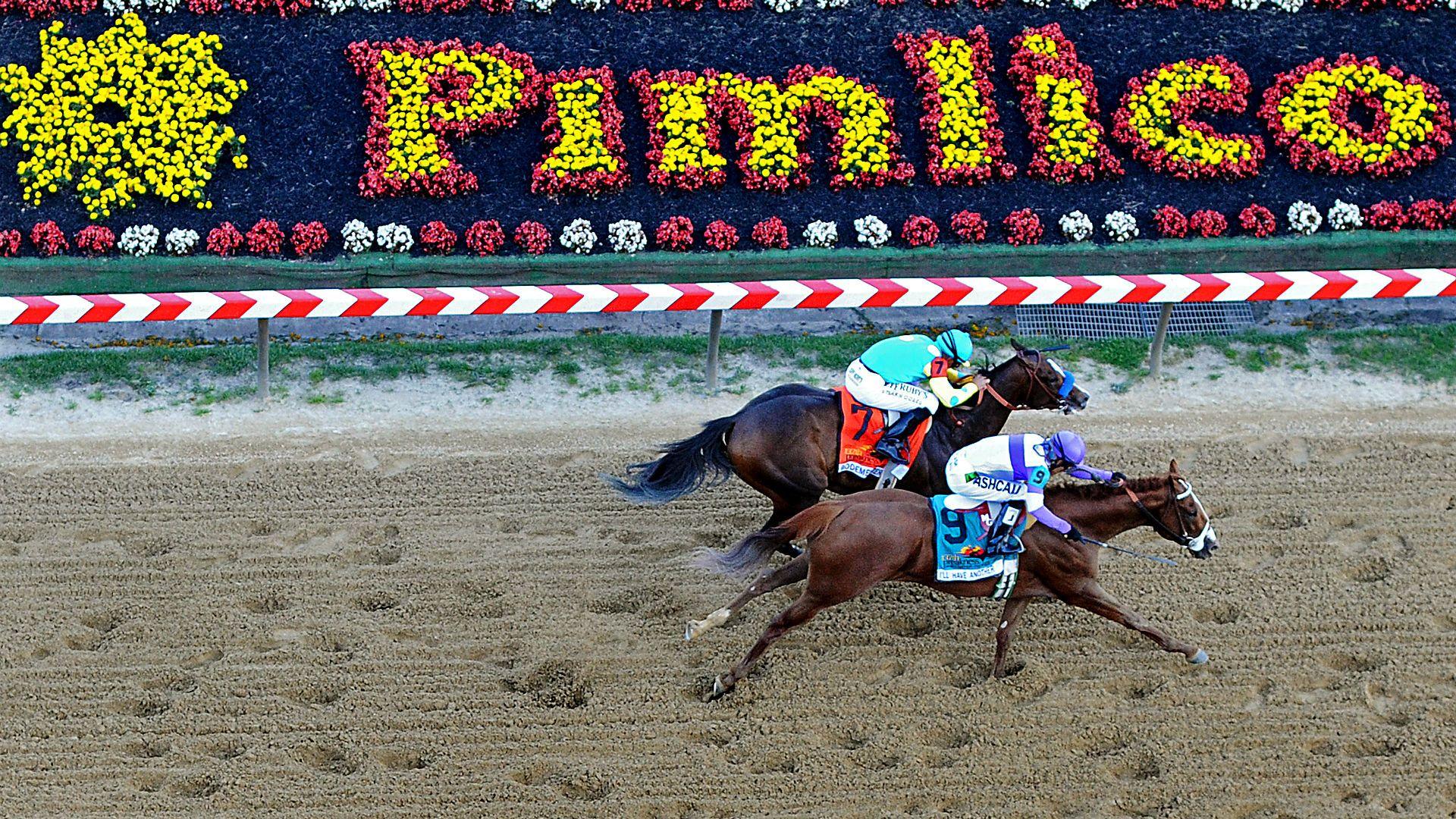 Preakness 2015: Watch the best moments in race history. Other