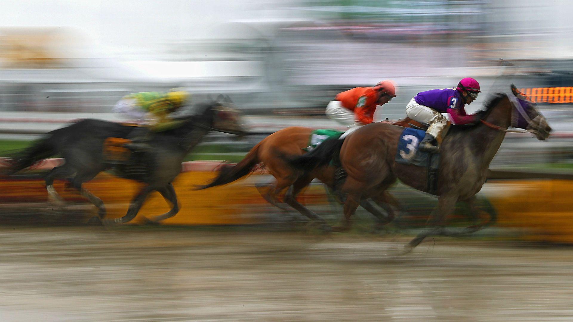 Preakness 2016: Two horses die in early races at Pimlico. Other
