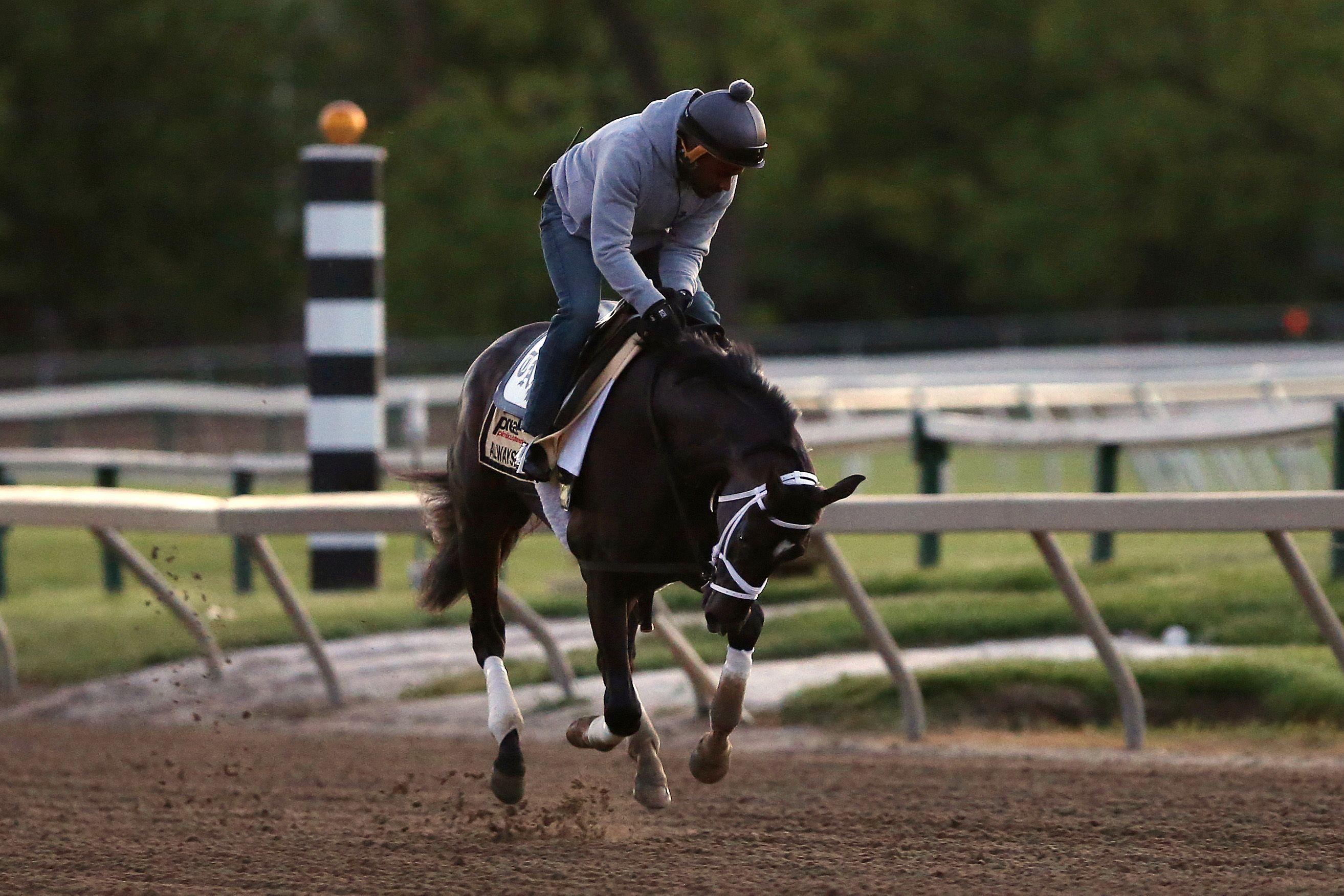 Preakness Stakes 2018