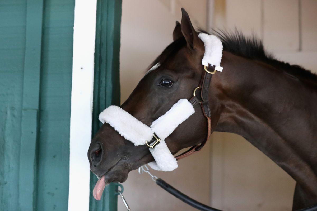 Preakness 2017: Post position draw time for this year's horses