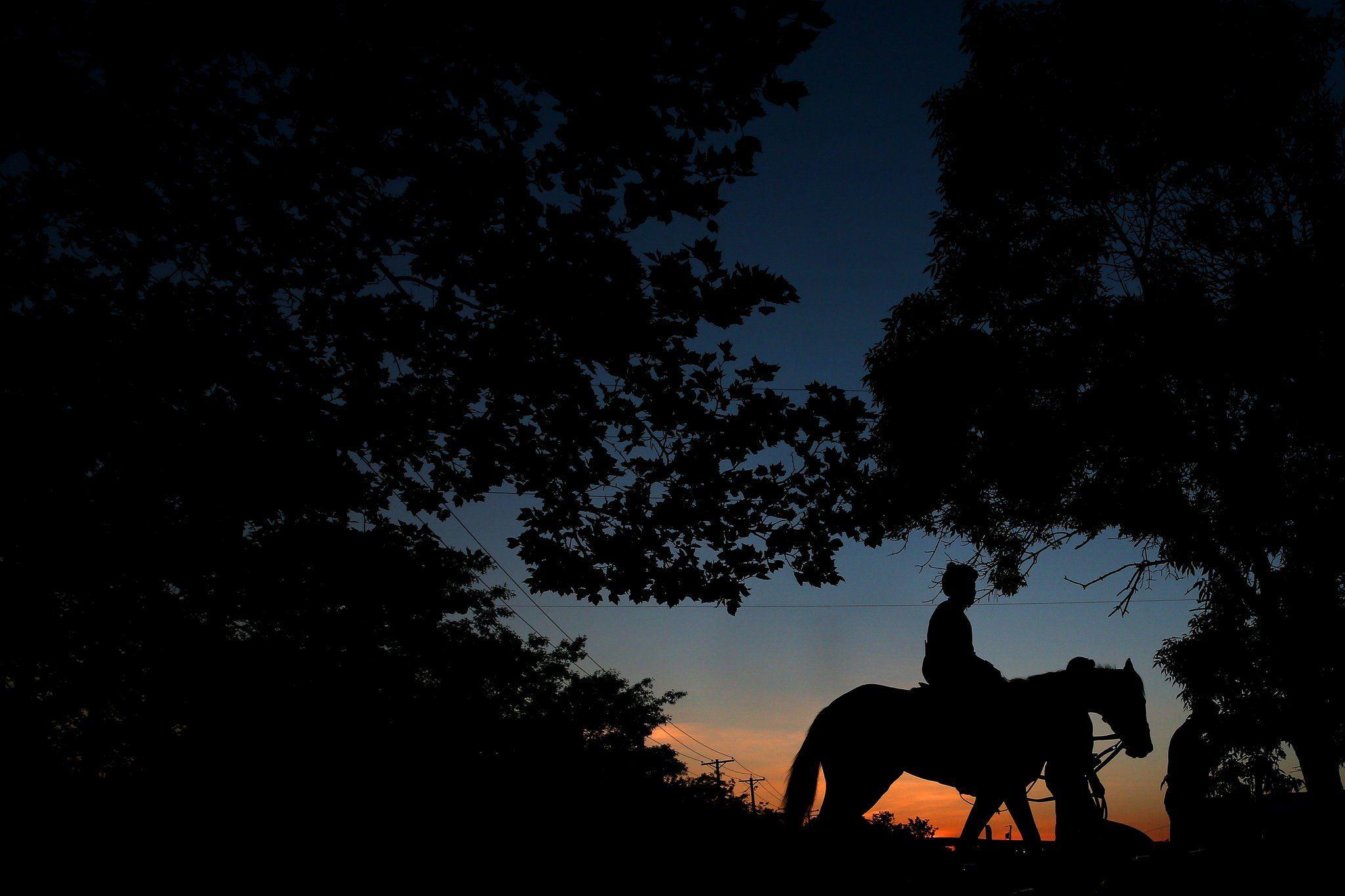 Preakness Stakes 2017: Always Dreaming, the Draw, Contenders