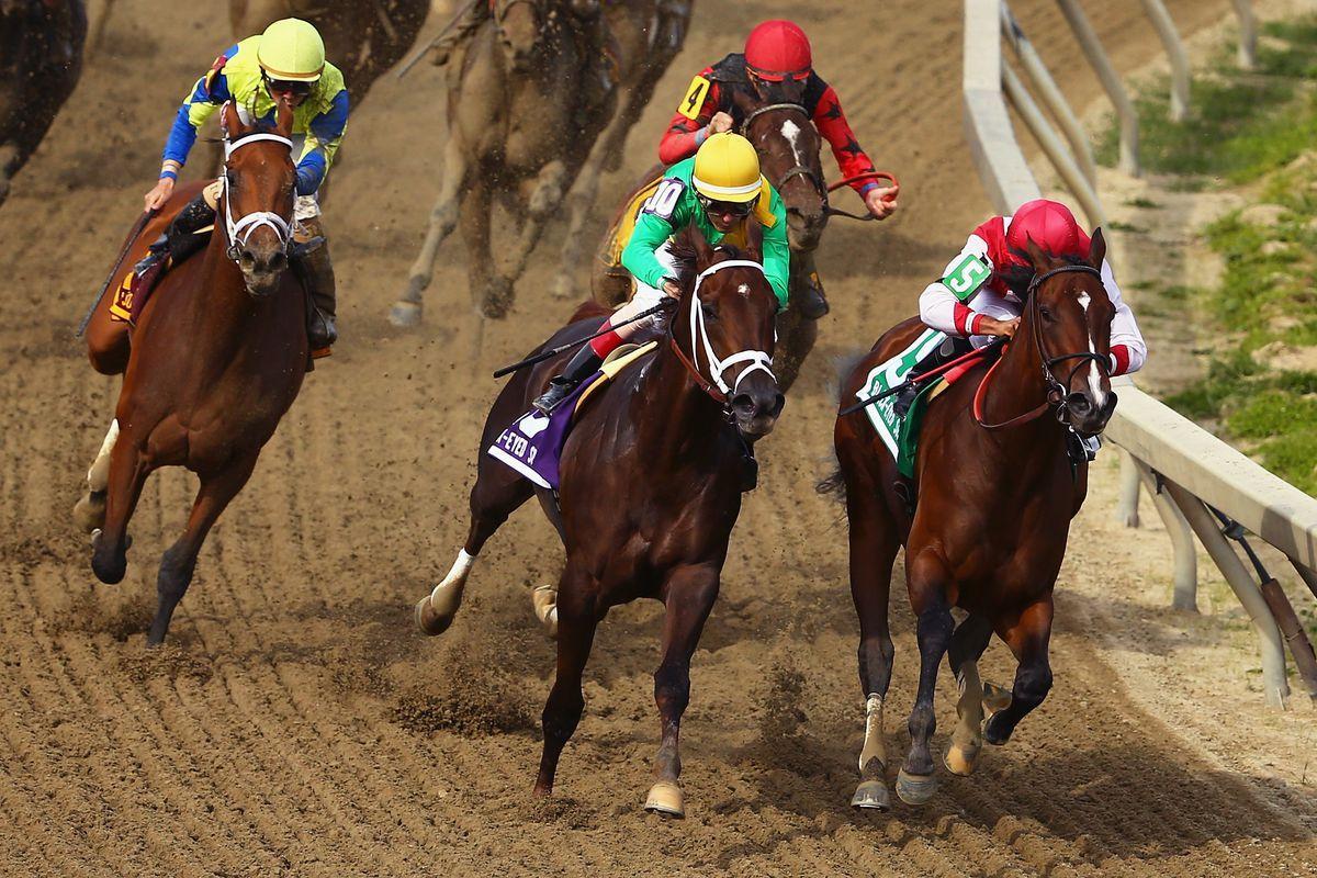 Preakness Results 2017: Black Eyed Susan Won By Longshot Actress