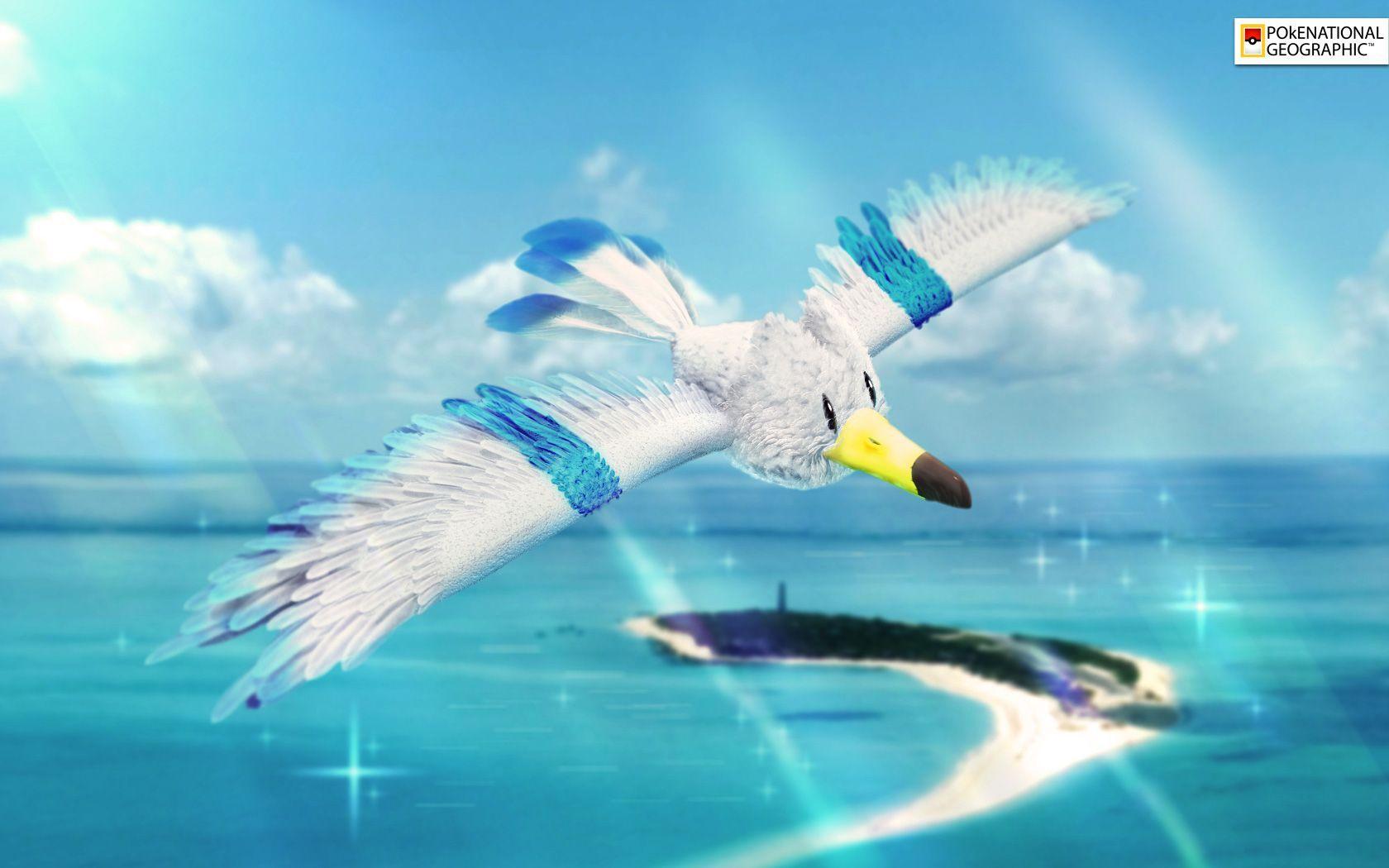 Wingull. POKEMON :D. Pokémon