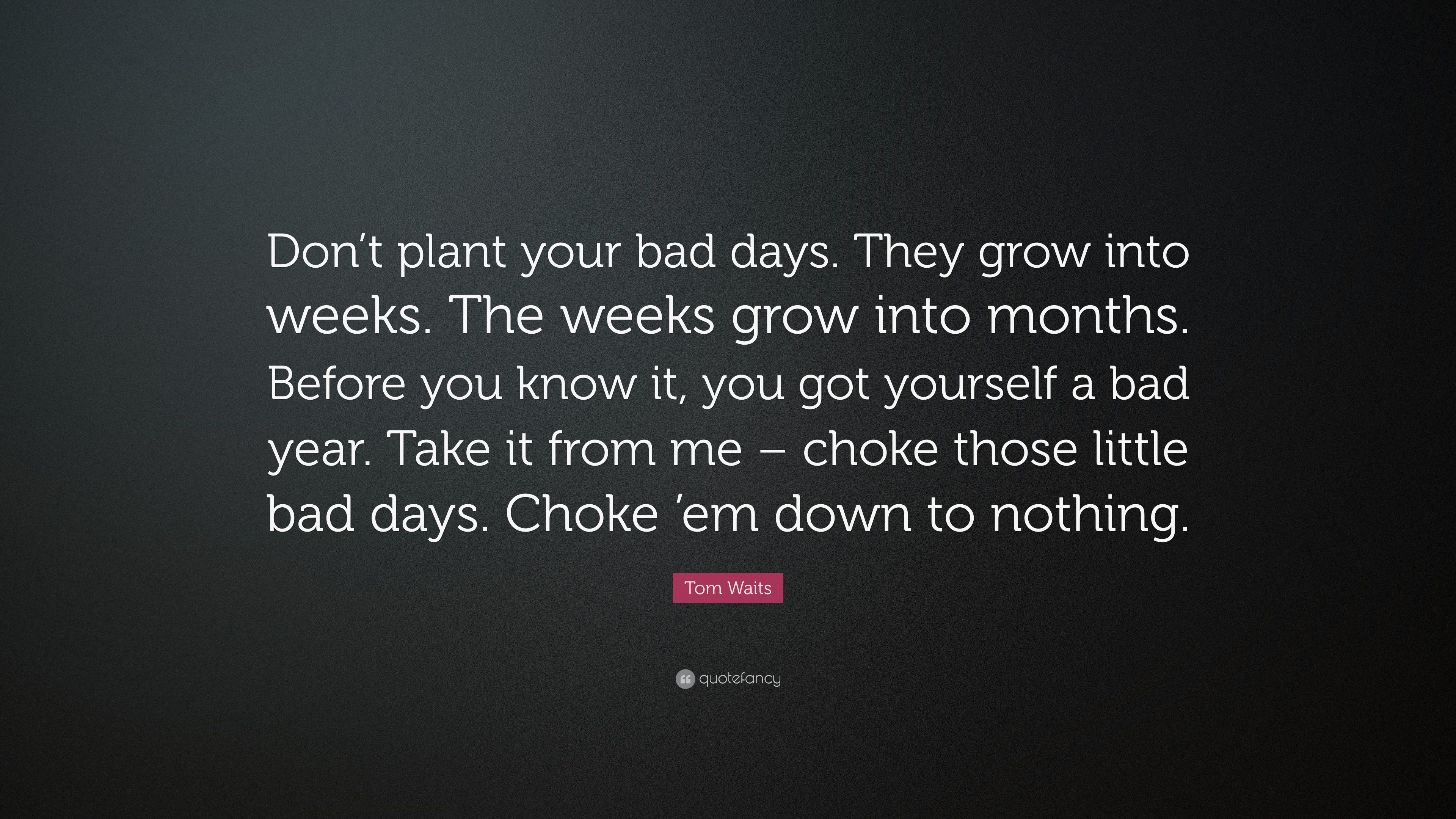 Tom Waits Quote: “Don't plant your bad days. They grow into weeks
