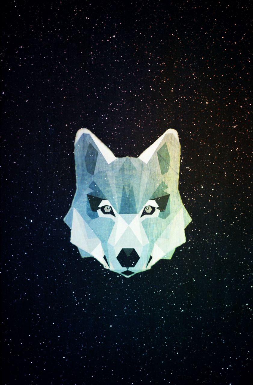  Galaxy  Wolf  Wallpapers  Wallpaper  Cave