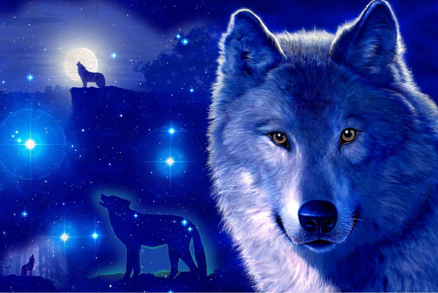 Wolf High Definition Wallpaper Free Download