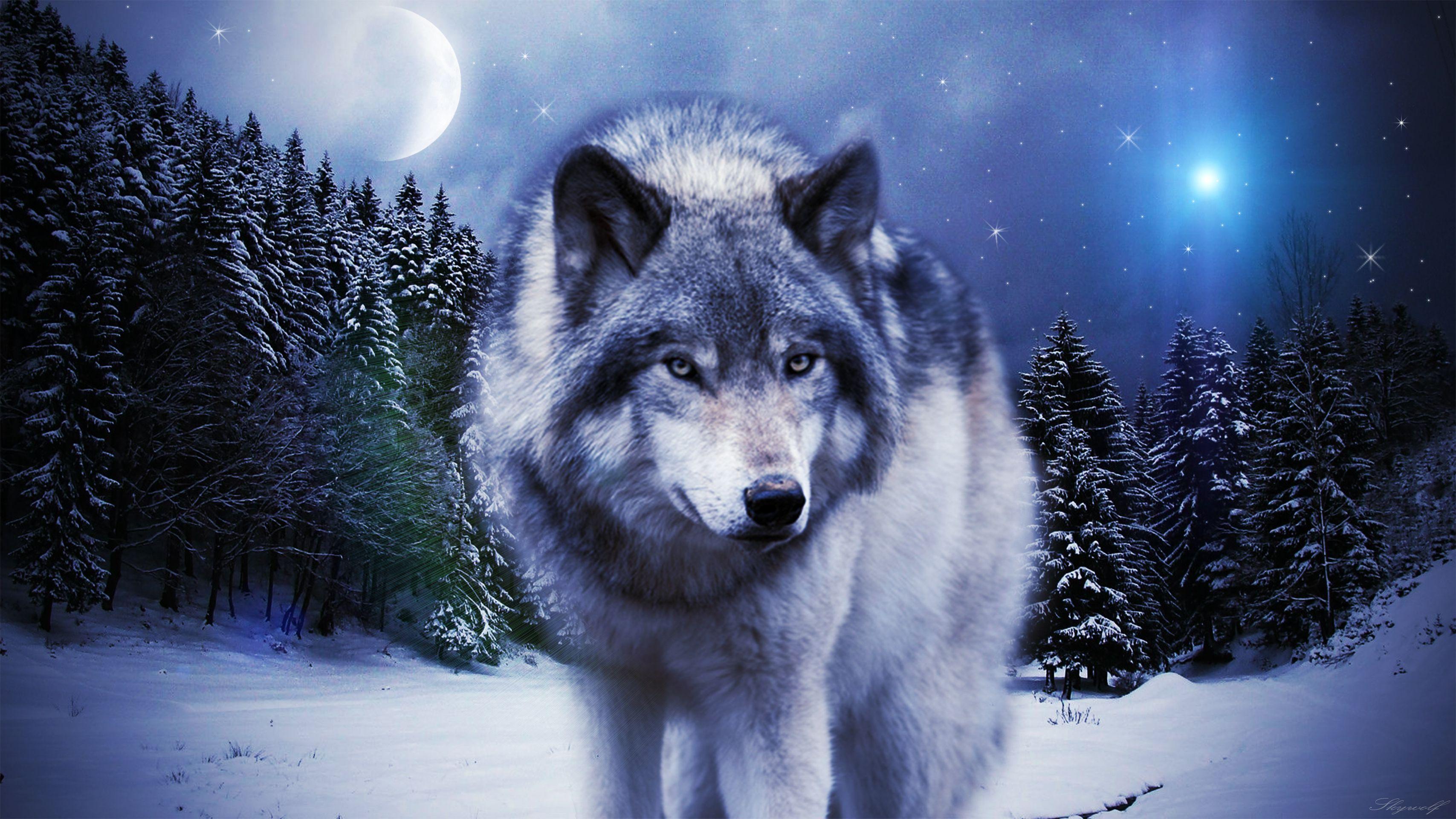 Galaxy Wolf Wallpapers - Wallpaper Cave