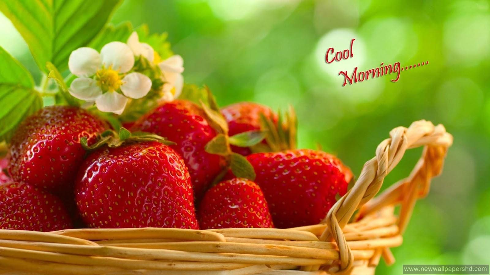 Pick Strawberries Day Wallpapers - Wallpaper Cave