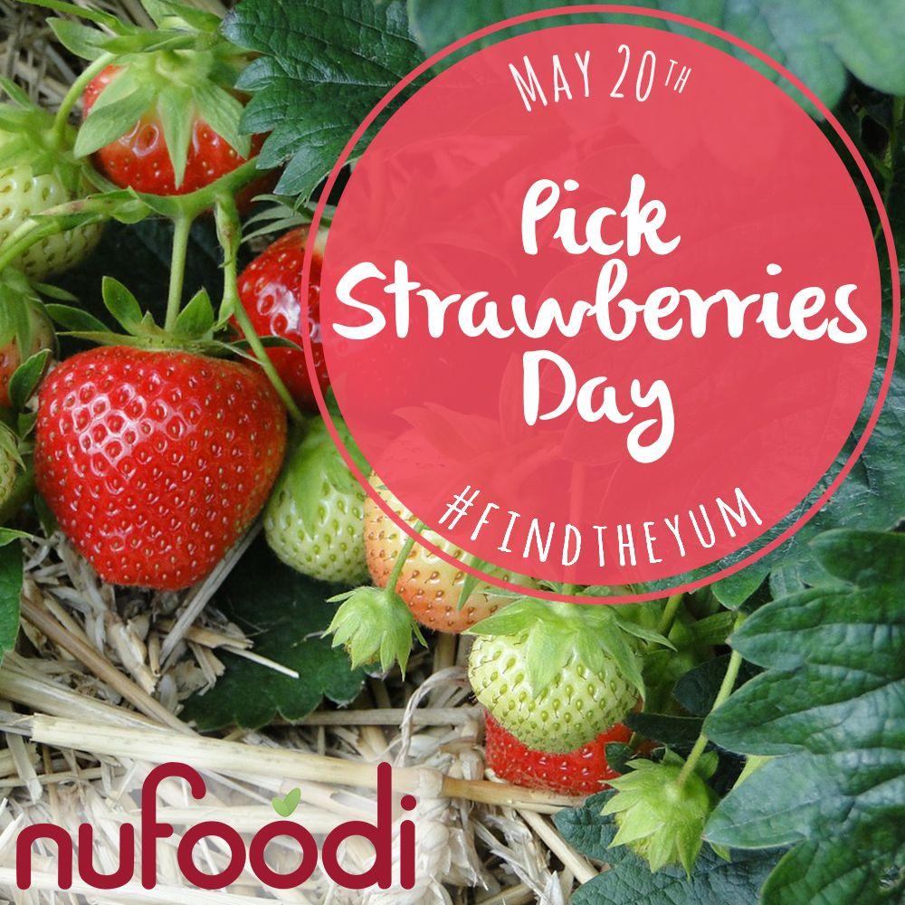 Pick Strawberries Day Wallpapers Wallpaper Cave