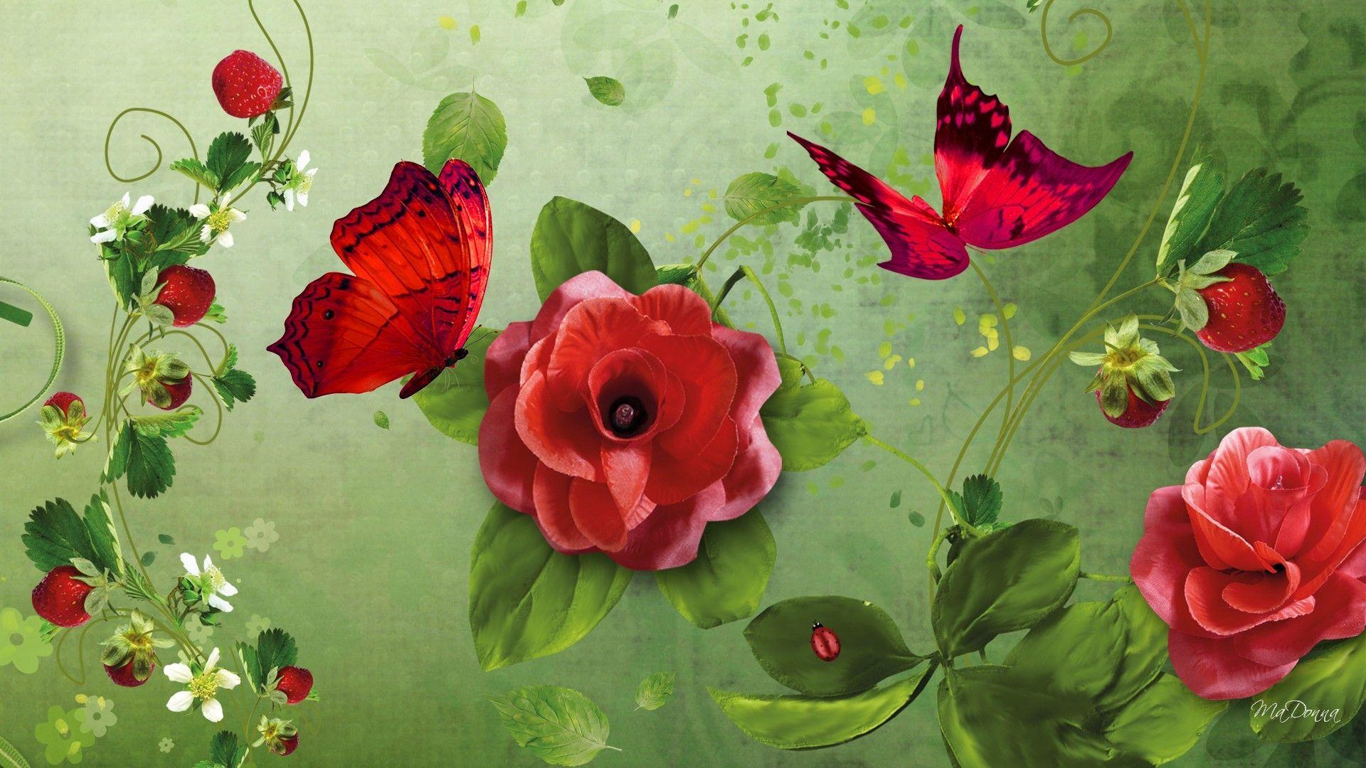 Lady Tag wallpaper: Pink Lady Flower Bloom Rose Summer Billede