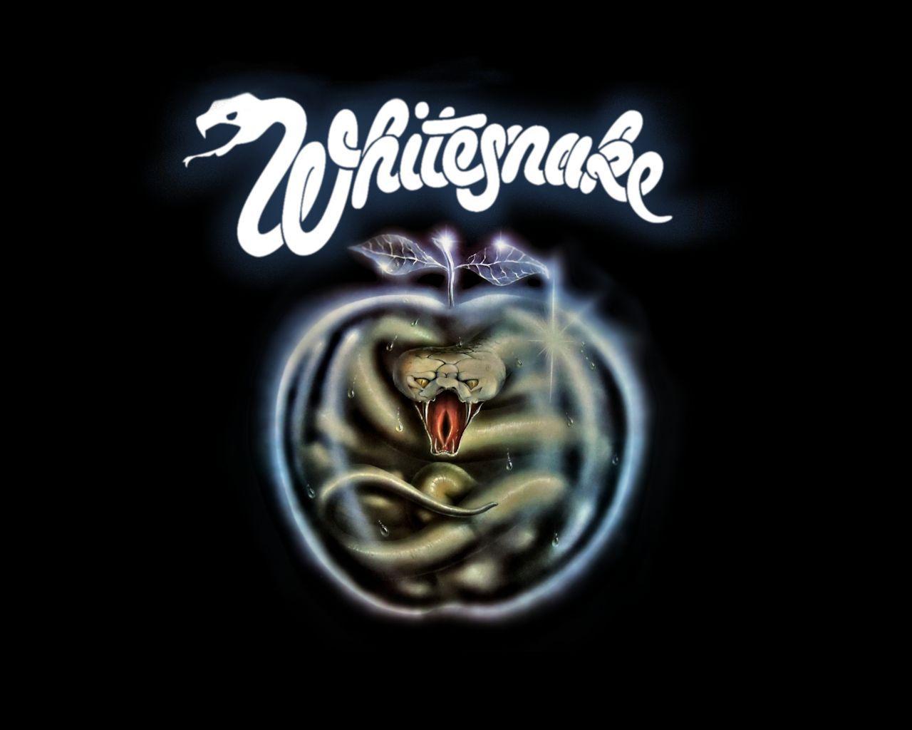 Whitesnake. free wallpaper, music wallpaper