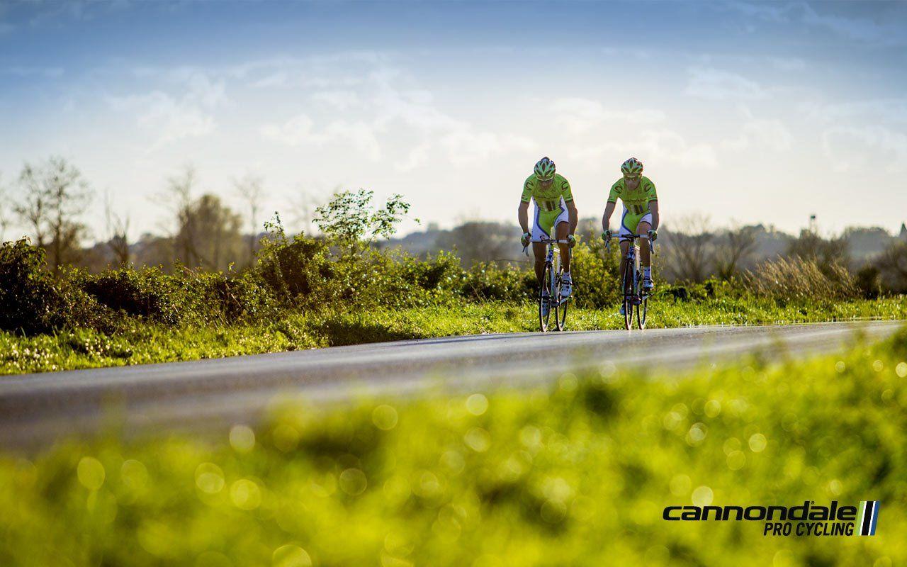 Cannondale Wallpaper