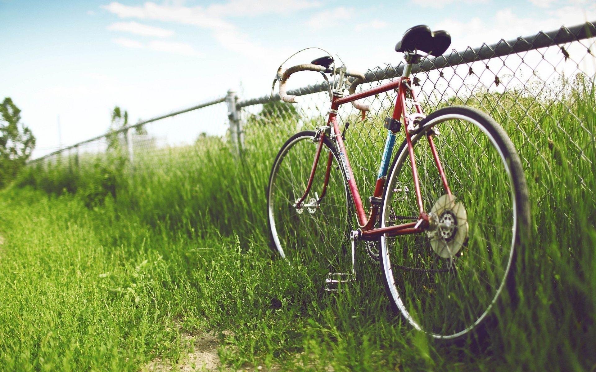 Bicycle On The Farm Wallpaper Photo Wallpaper