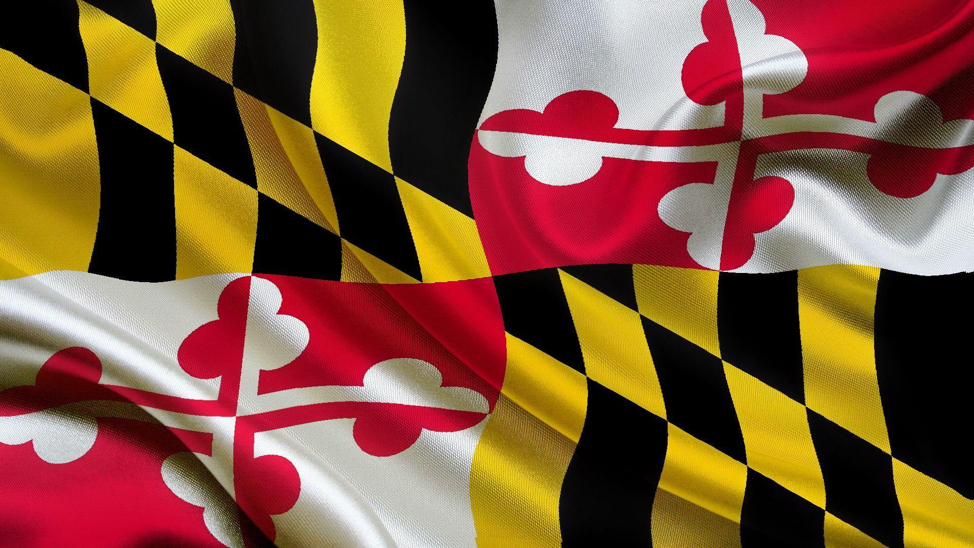Maryland flag. The oustanding image is part of USA Maryland Flag