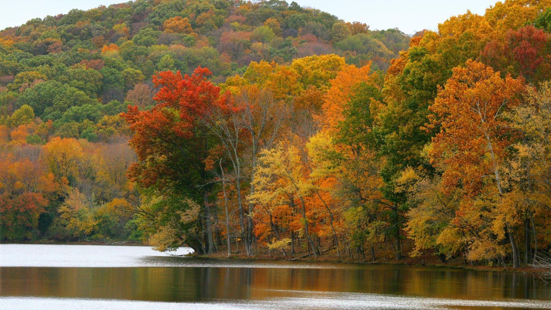 Wallpaper autumn nature landscape radnor tennessee lake nashville