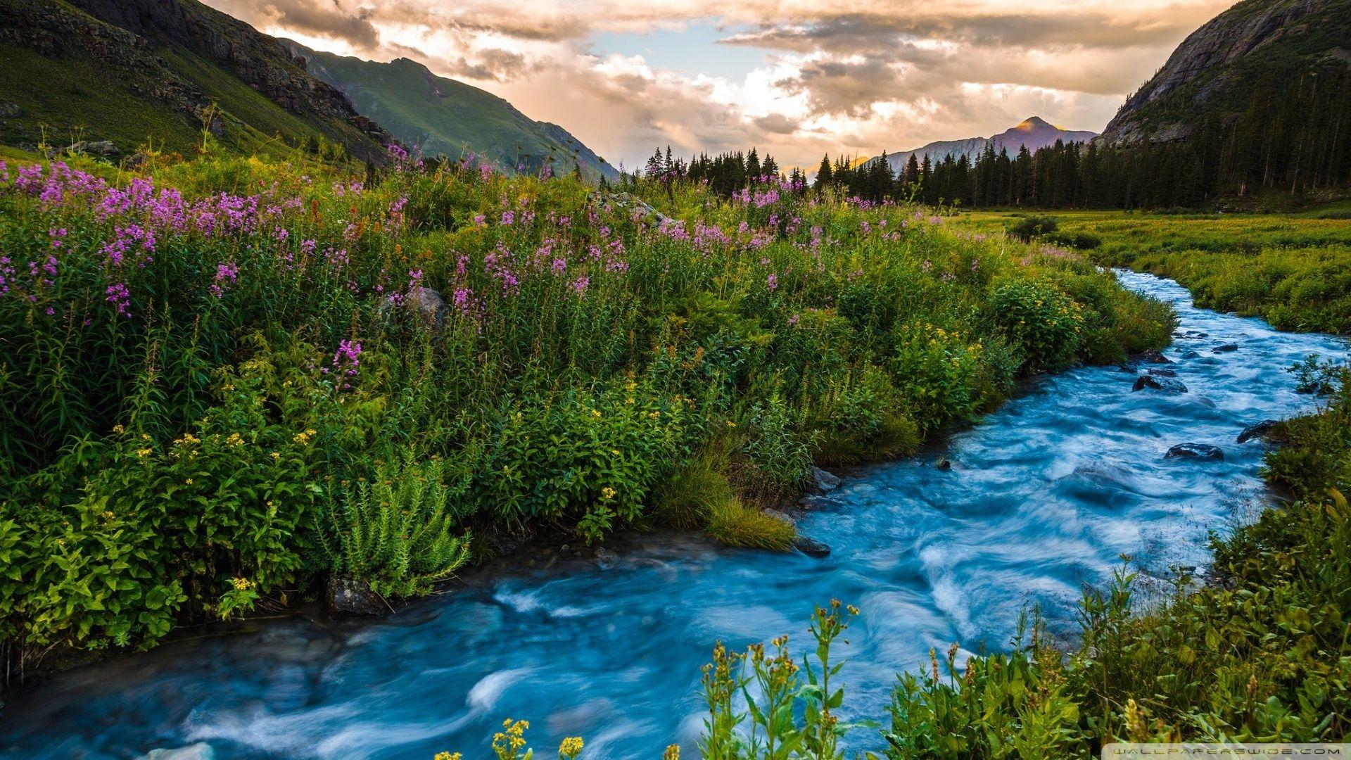Colorado Flowers, River, USA ❤ 4K HD Desktop Wallpaper for 4K Ultra