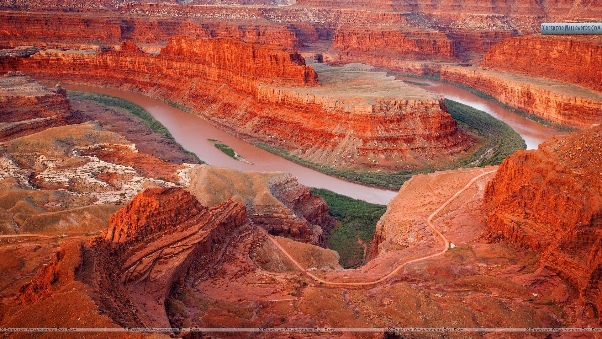 Colorado River From Dead Horse Point State Park, Utah Wallpaper