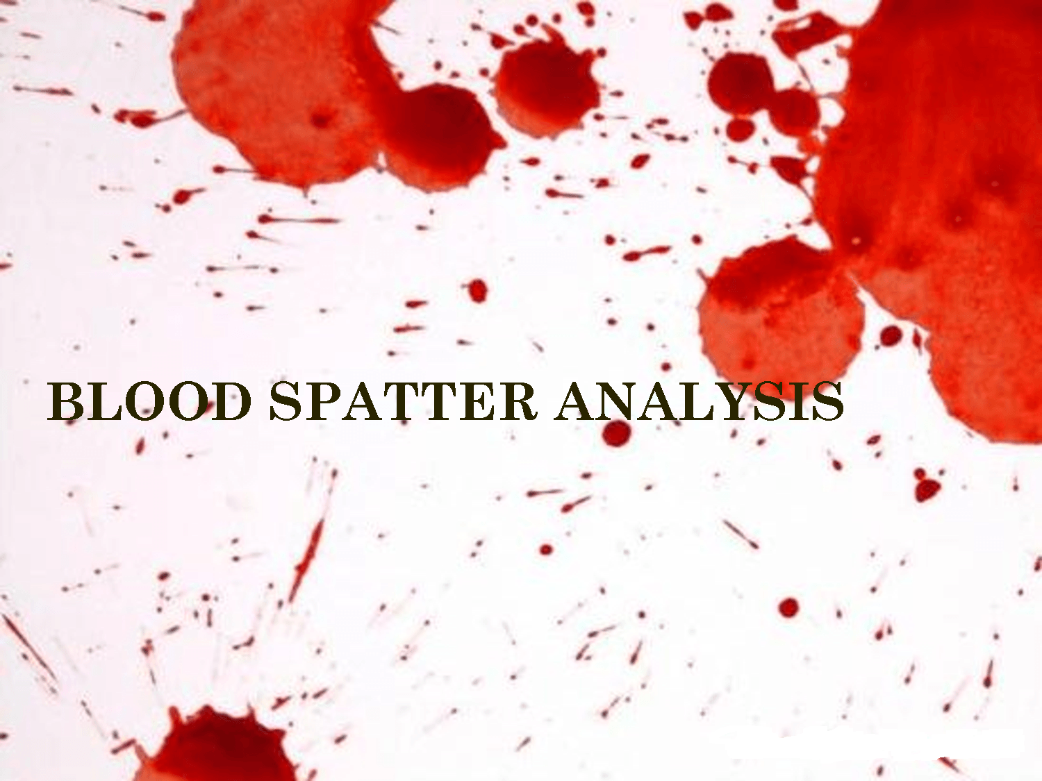 Forensics Blood/ Blood Spatter Project