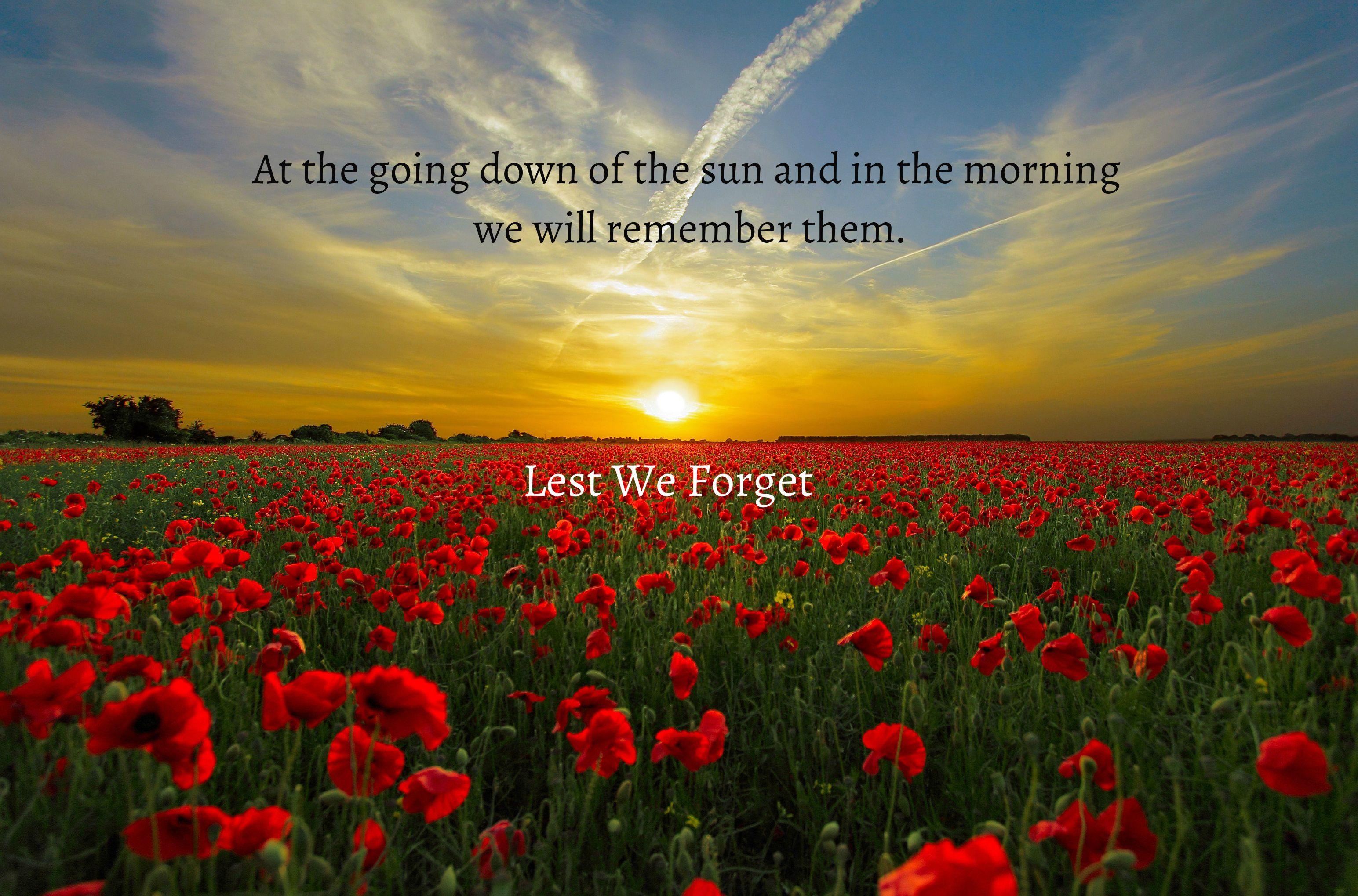 Anzac Day Wallpaper and Background Image