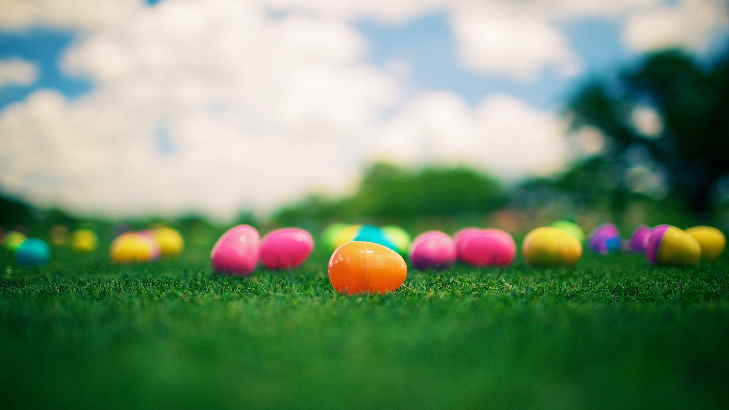 Download wallpaper multicolored, easter, grass, easter, kinder