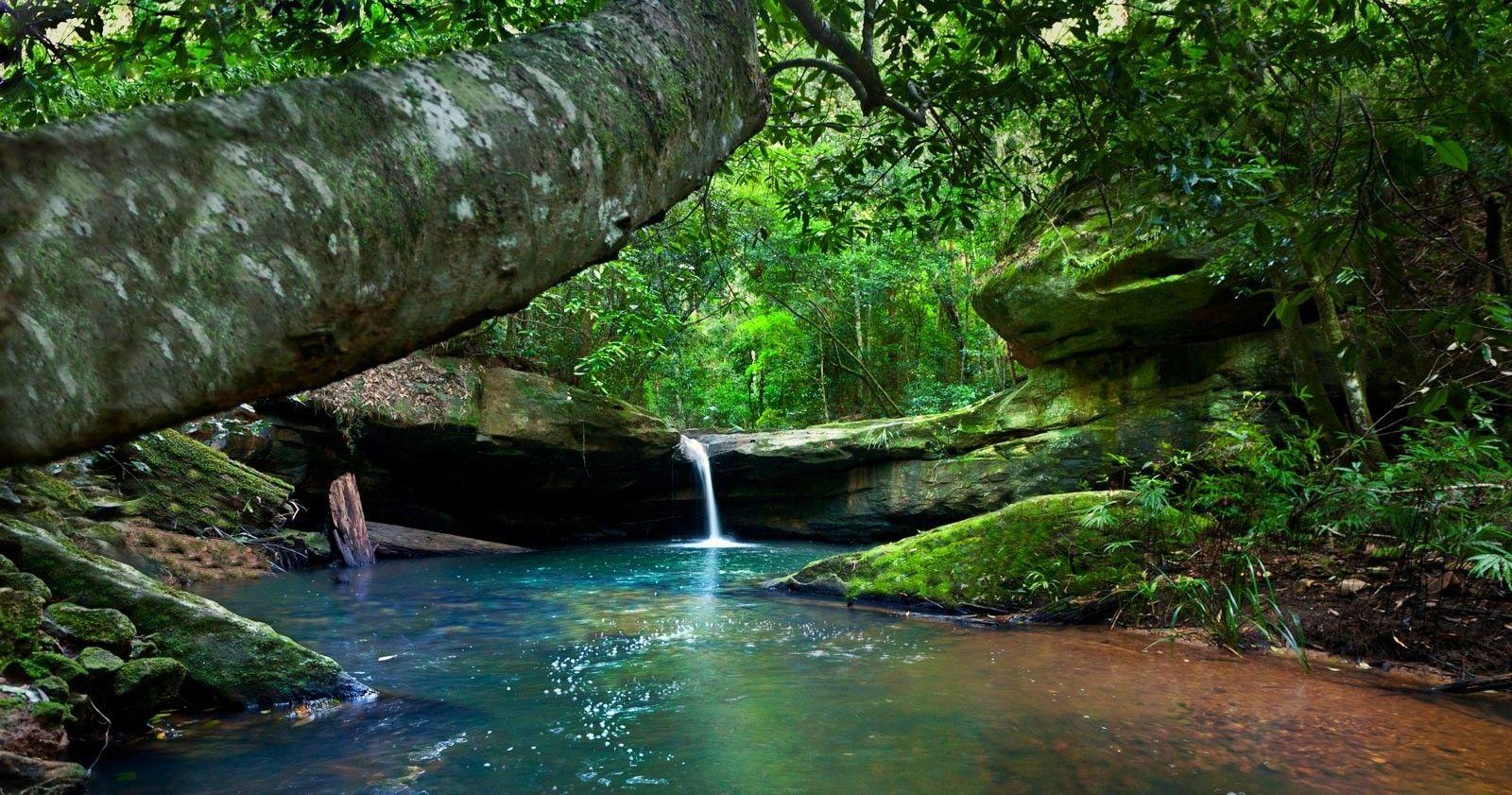 river, Forest, Moss, Waterfall, Australia, Shrubs, Nature, Landscape