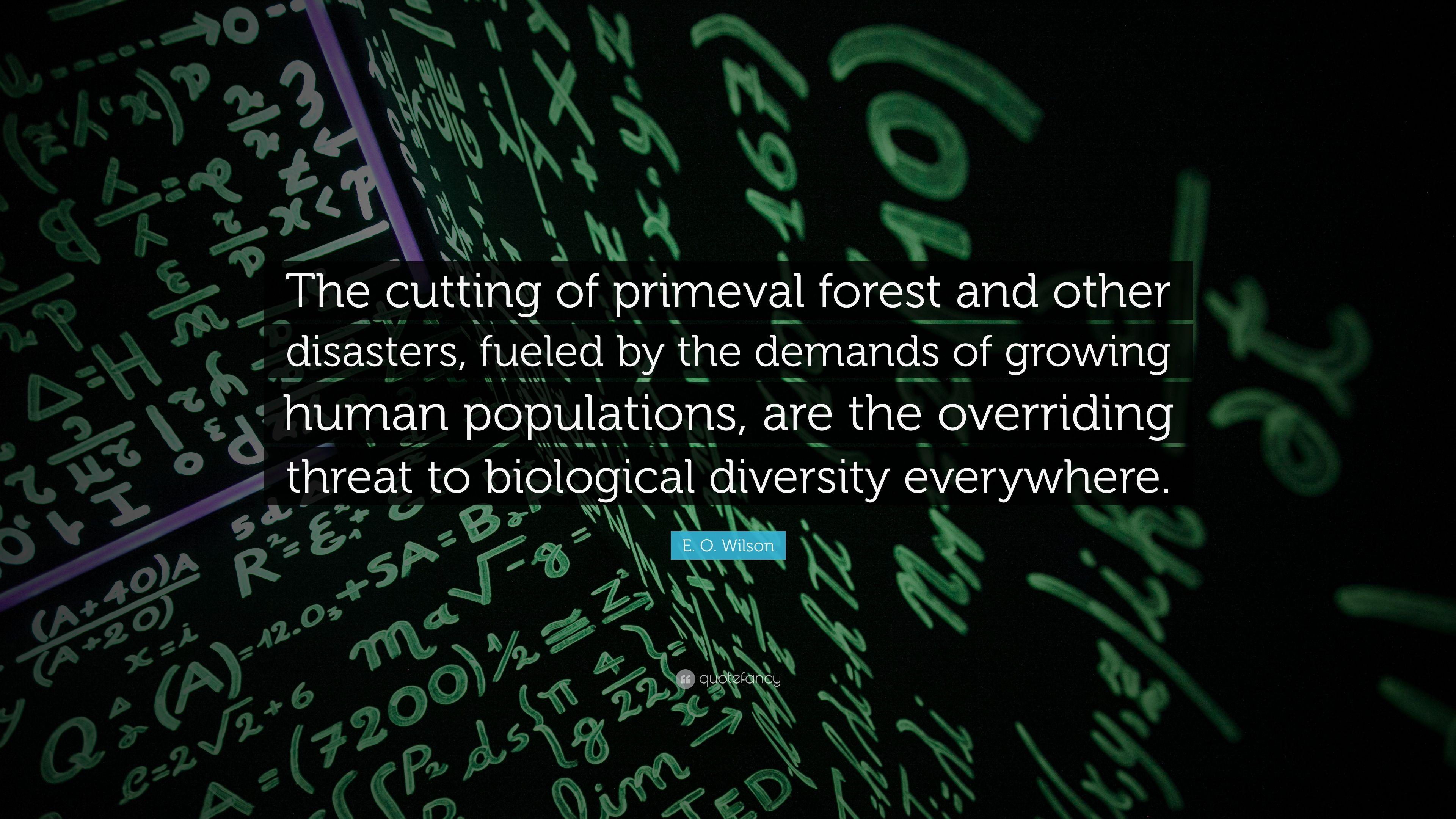 E. O. Wilson Quote: “The cutting of primeval forest and other