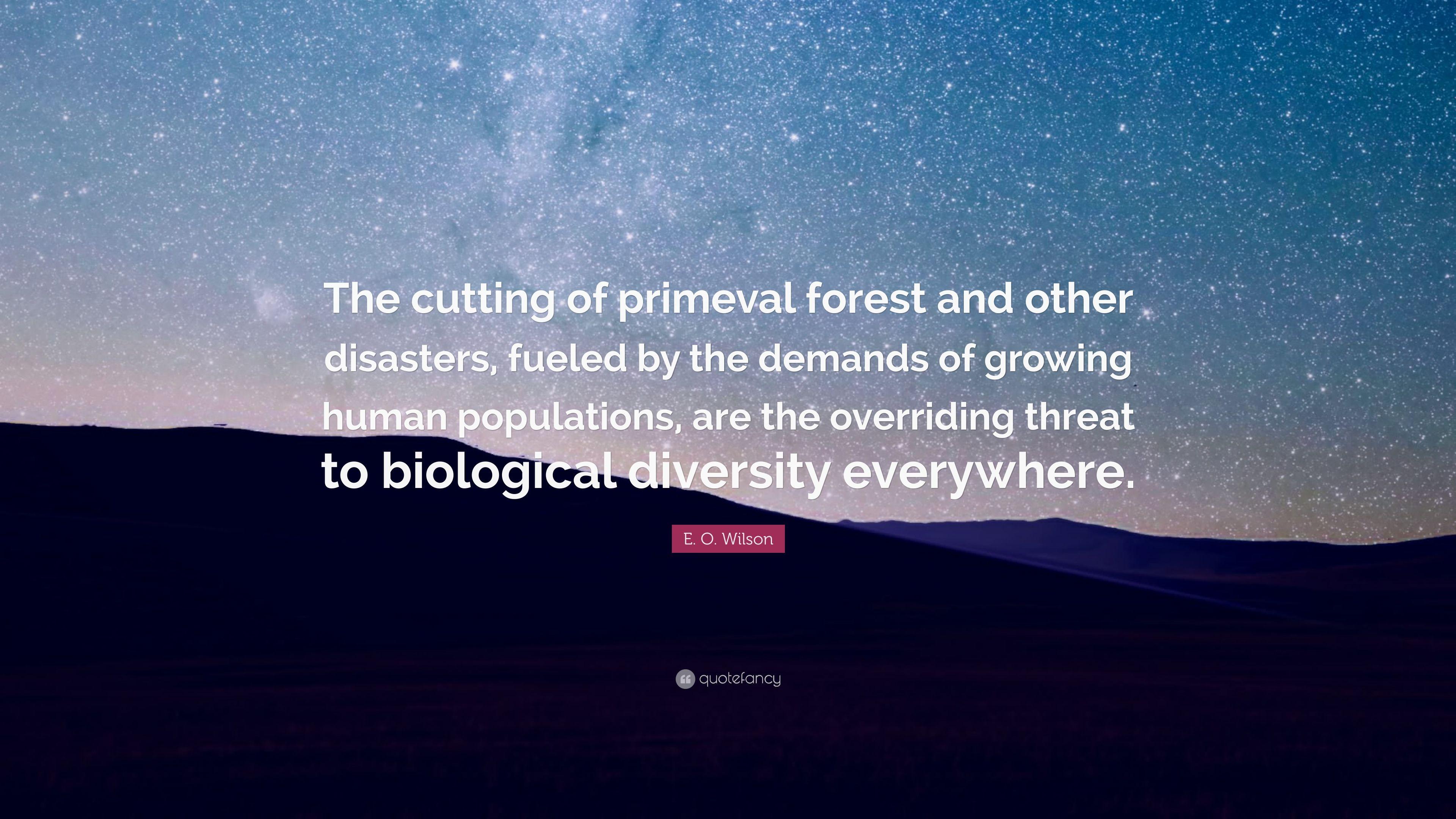 E. O. Wilson Quote: “The cutting of primeval forest and other